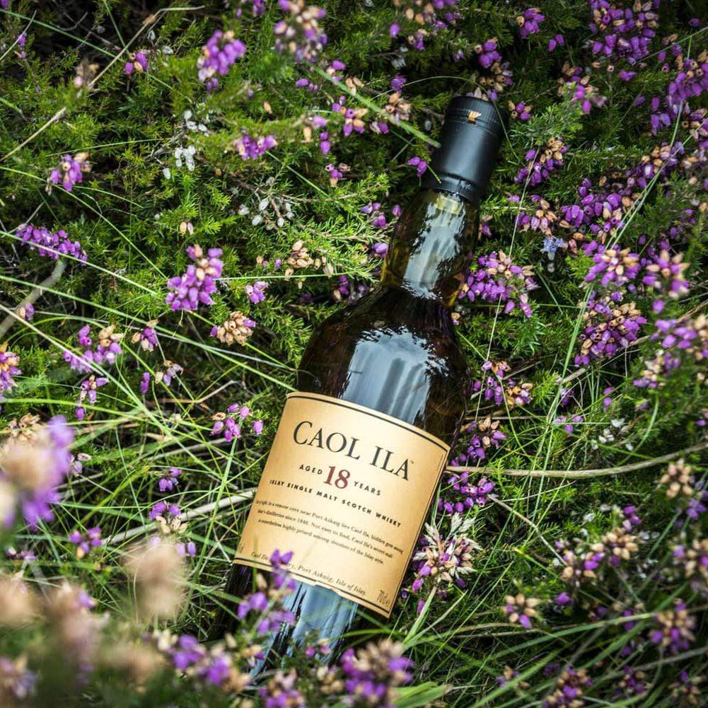 Caol Ila, 18-year-old single malt whisky, purple heather, SD Desktop Wallpaper
