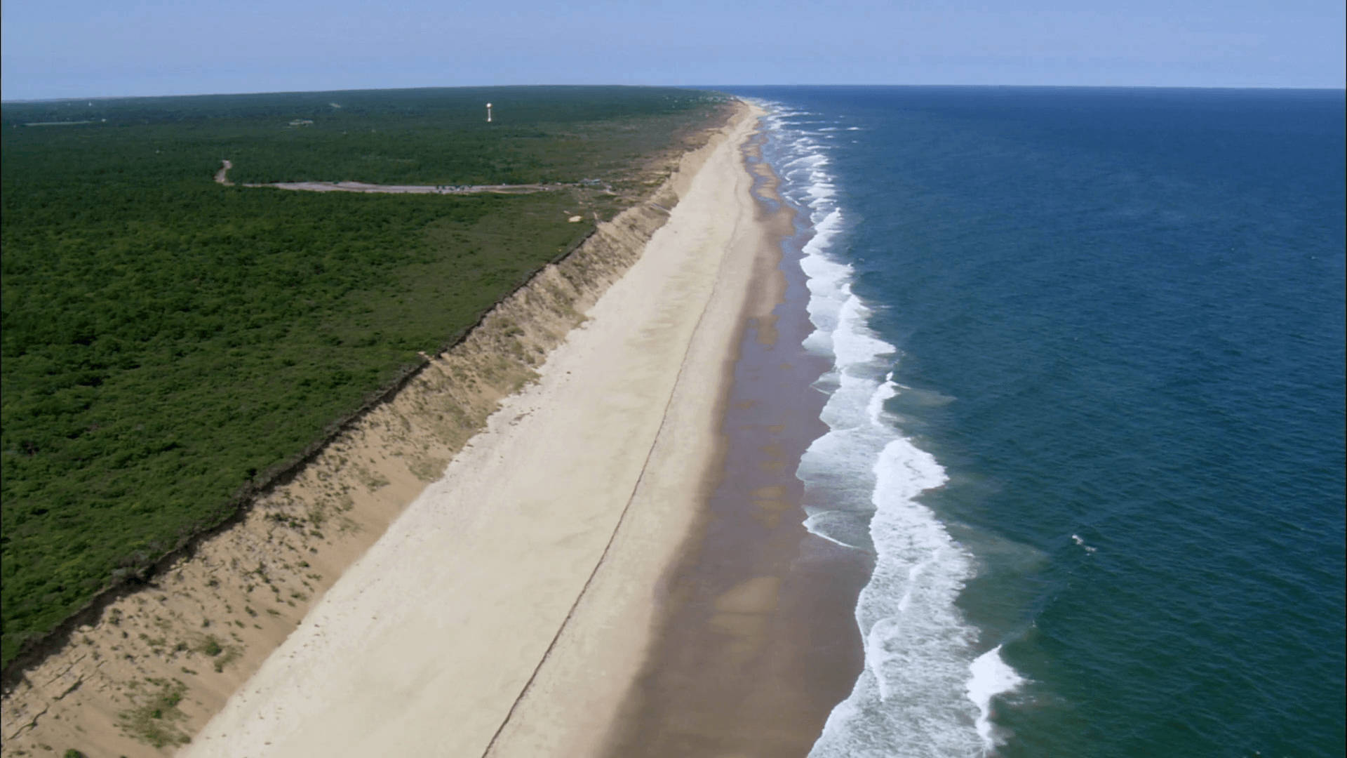 Cape Cod, sandy beach, dense green forest, Full HD Desktop Wallpaper