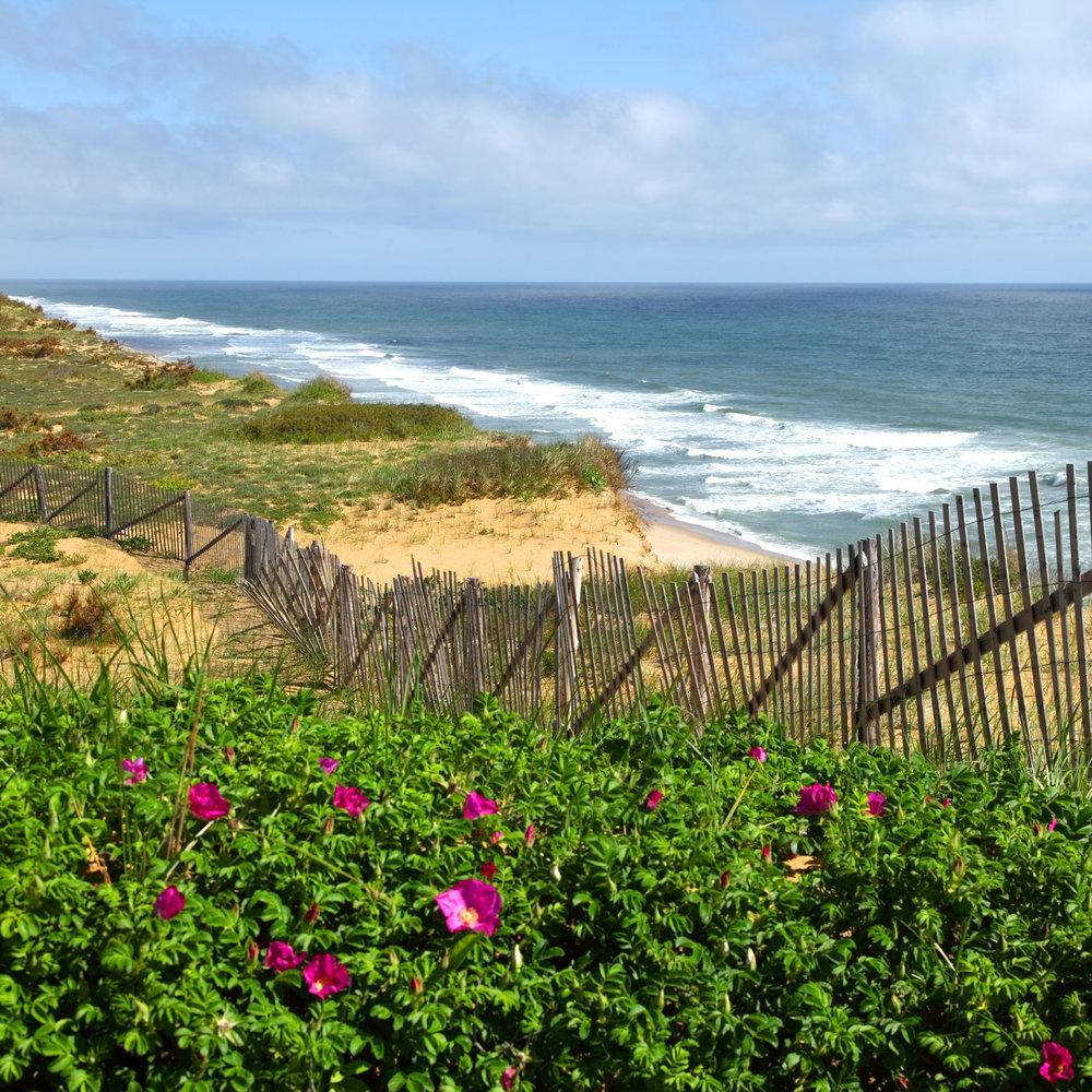 Cape Cod, flowers, wooden fence, SD Desktop Wallpaper
