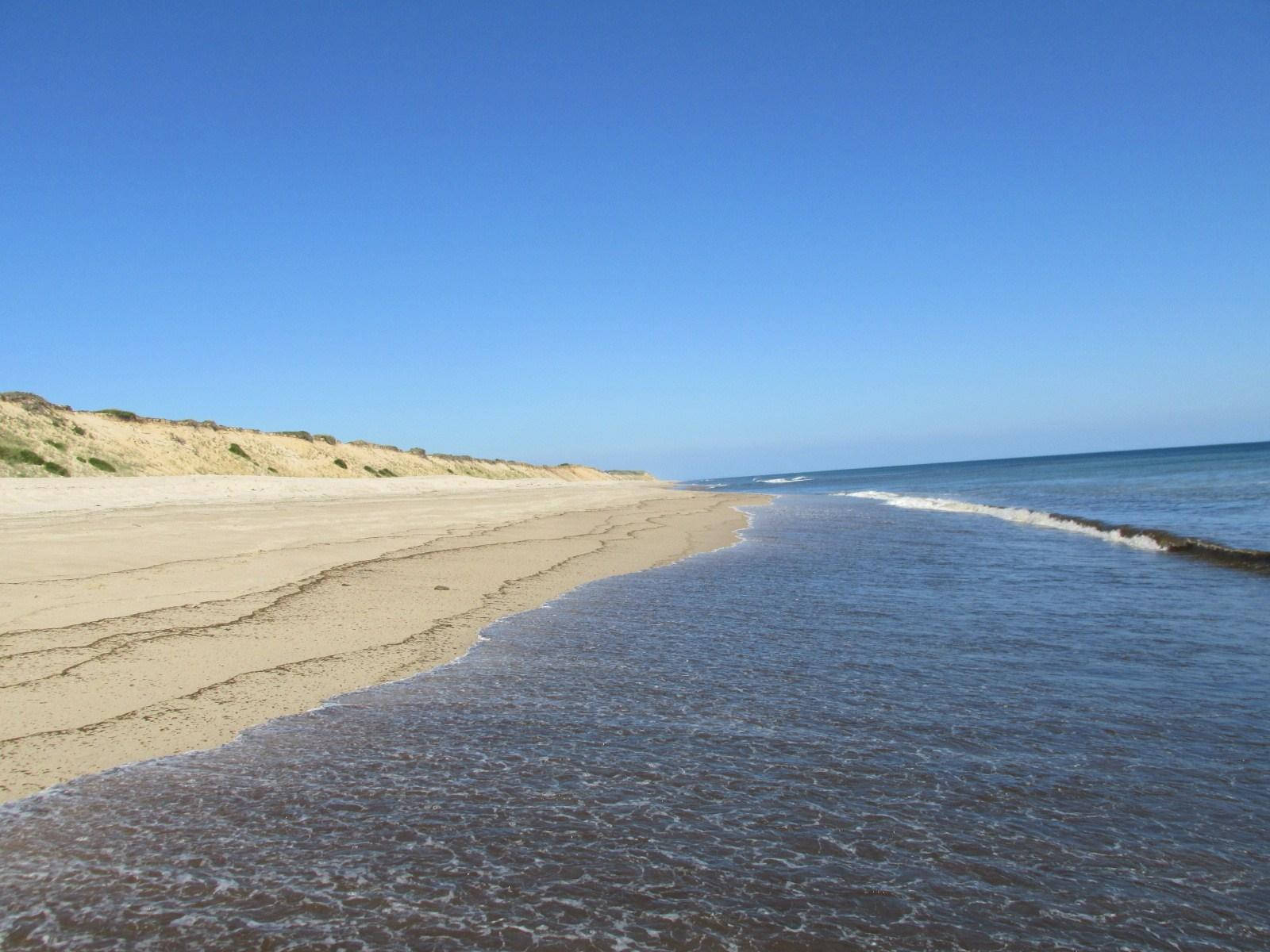 Cape Cod, peaceful sea waves, golden sand, HD Desktop Wallpaper