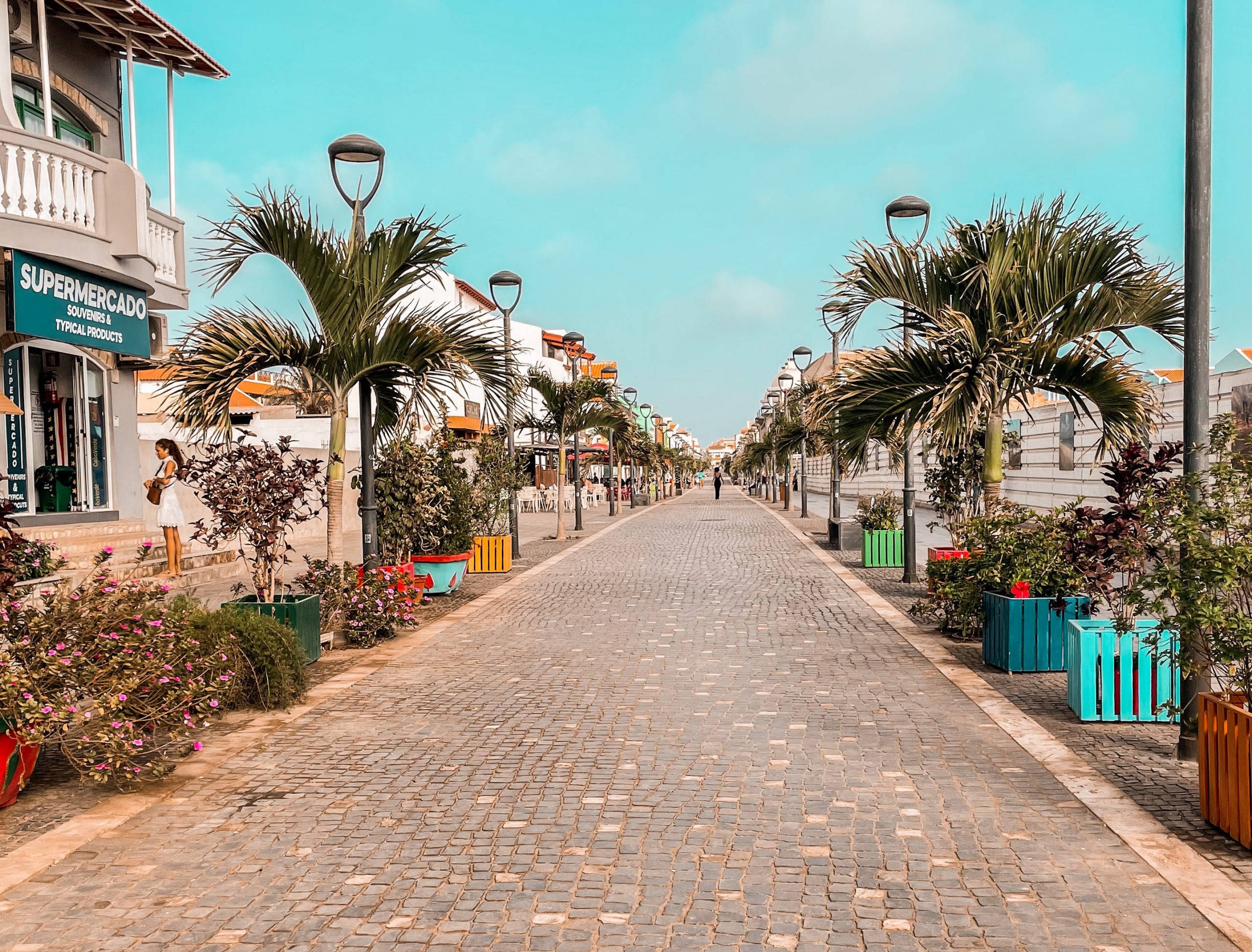 Cape Verde, cobblestone path, palm trees, 2K Desktop Wallpaper