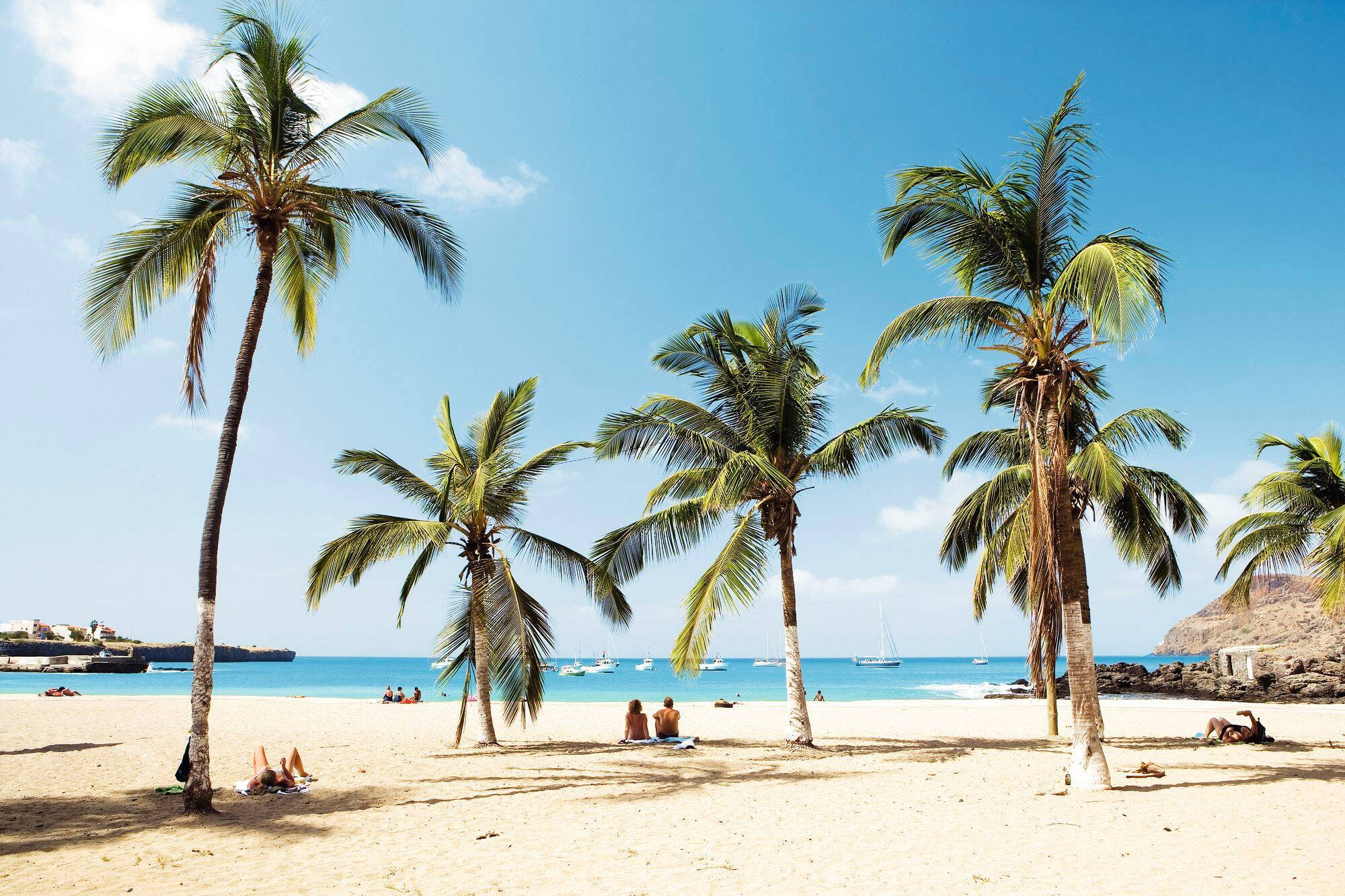 Cape Verde, palm trees, beach, Full HD Desktop Wallpaper