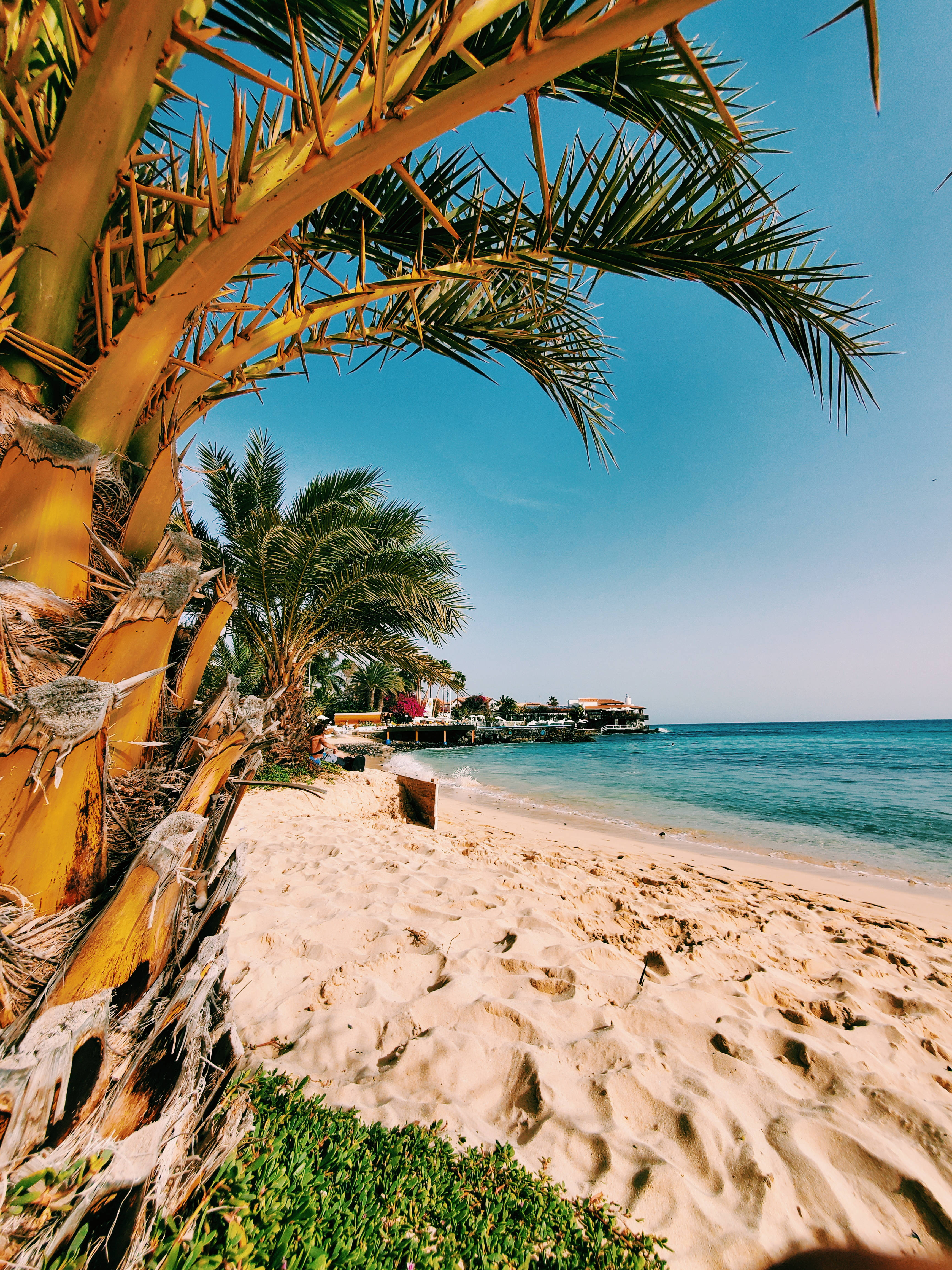 Cape Verde, tropical beach, palm tree, 4K Phone Wallpaper