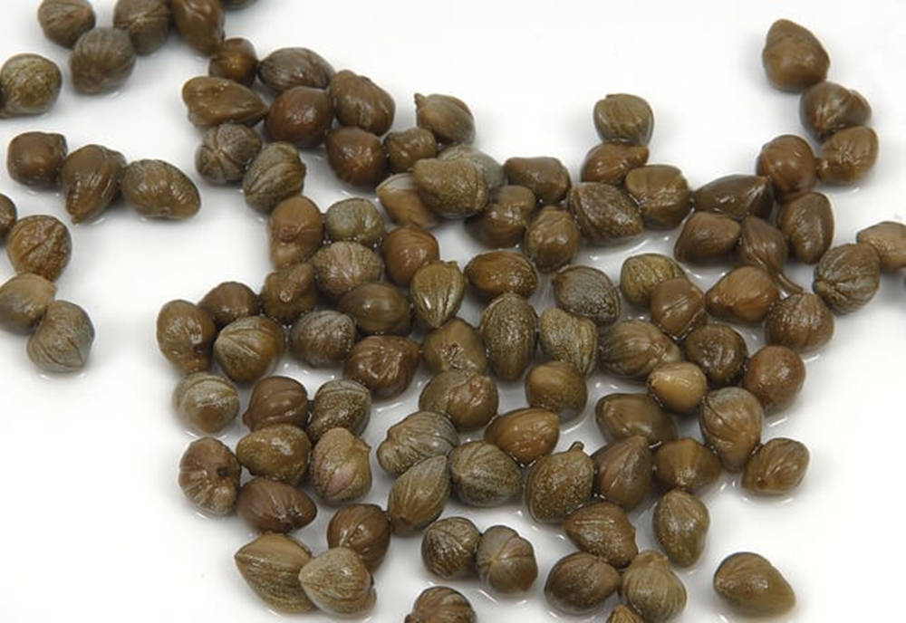 Capers, dark green, white surface, SD Desktop Wallpaper