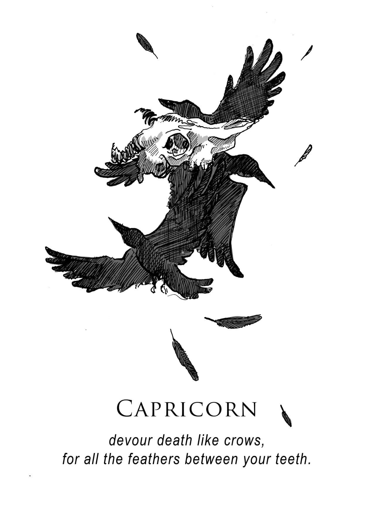 Capricorn, crow skull, wings spread, HD Phone Wallpaper