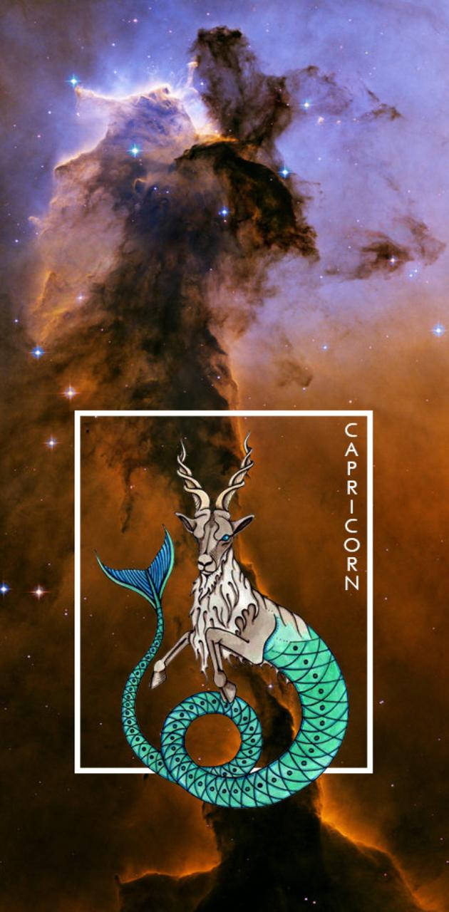 Capricorn, sea-goat, turquoise tail, HD Phone Wallpaper