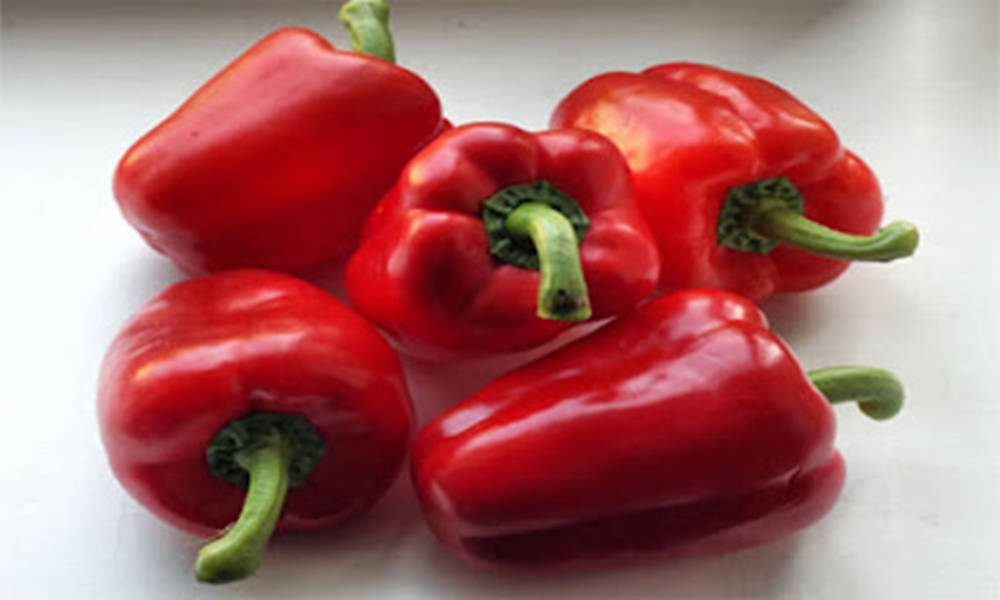 vibrant red capsicum fruits, top view angle, glossy red bell peppers, SD Desktop Wallpaper