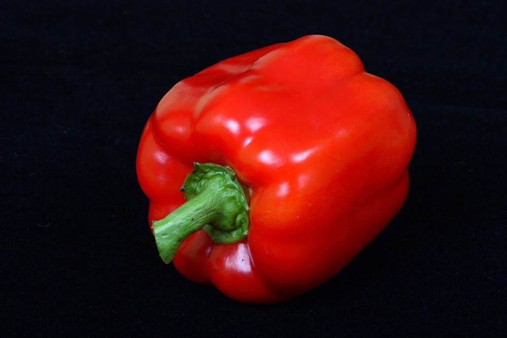 vivid red capsicum fruit, glossy red bell pepper, green stem, SD Desktop Wallpaper