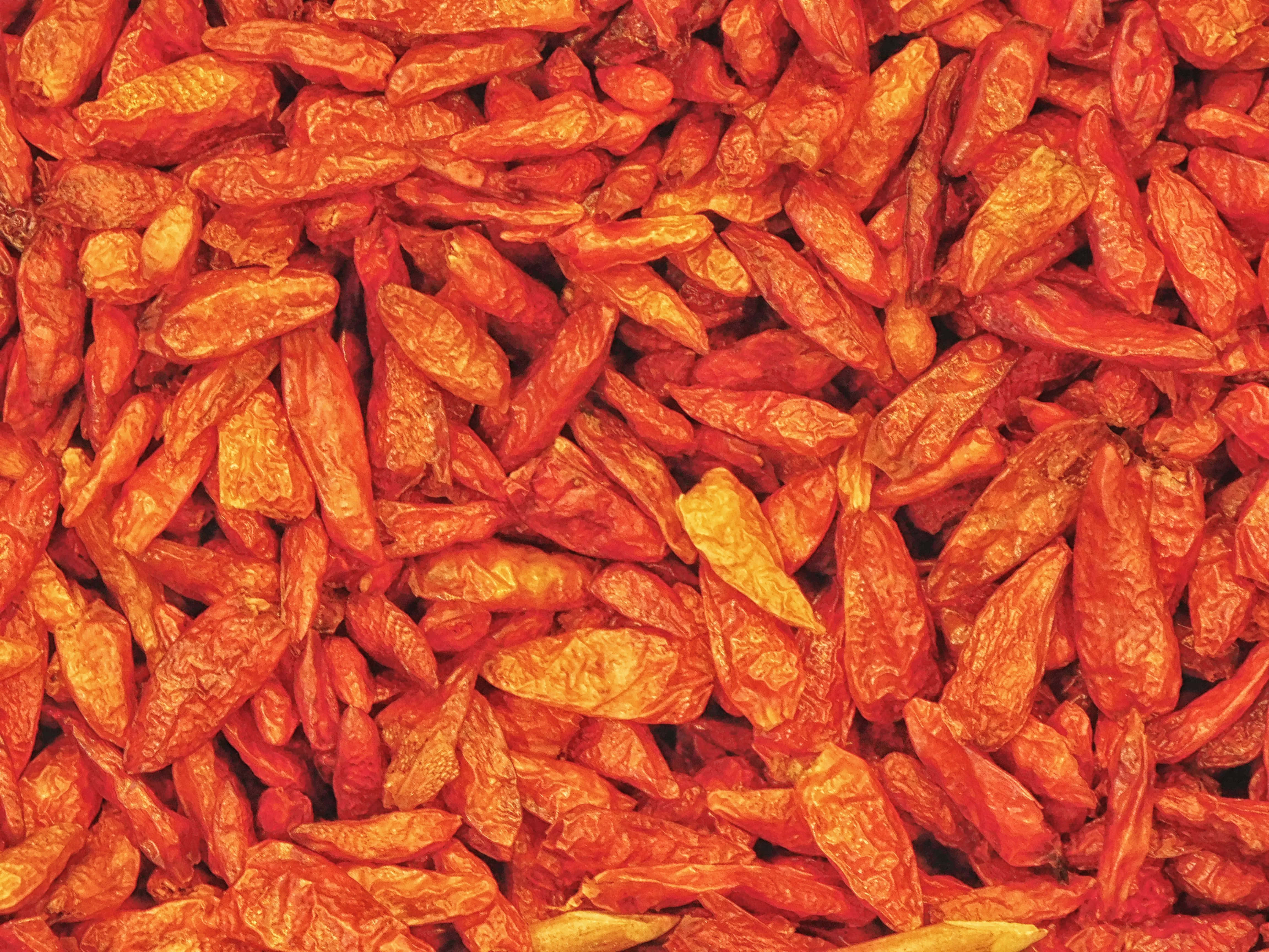 chili, dried red chili peppers, warm orange highlights, 4K Desktop Wallpaper