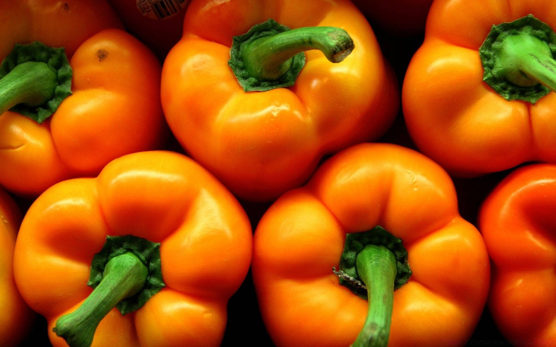 orange capsicum fruits, green stems, dark background, Full HD Desktop Wallpaper