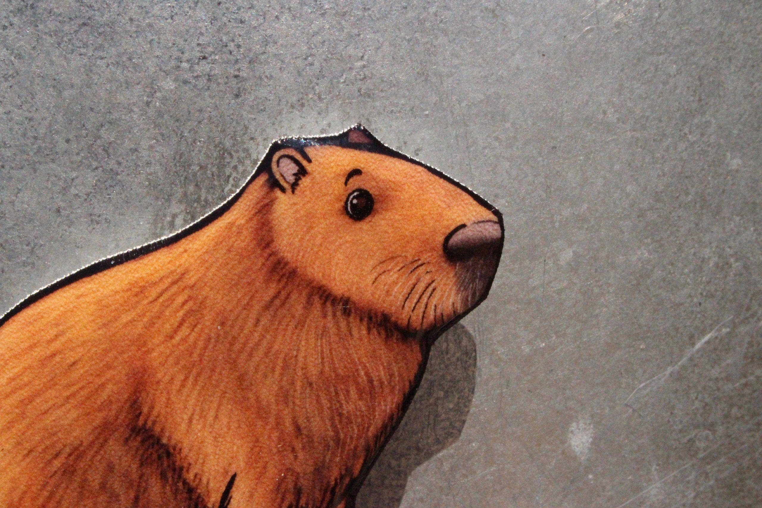 capybara, cartoon, magnet, 2K Desktop Wallpaper