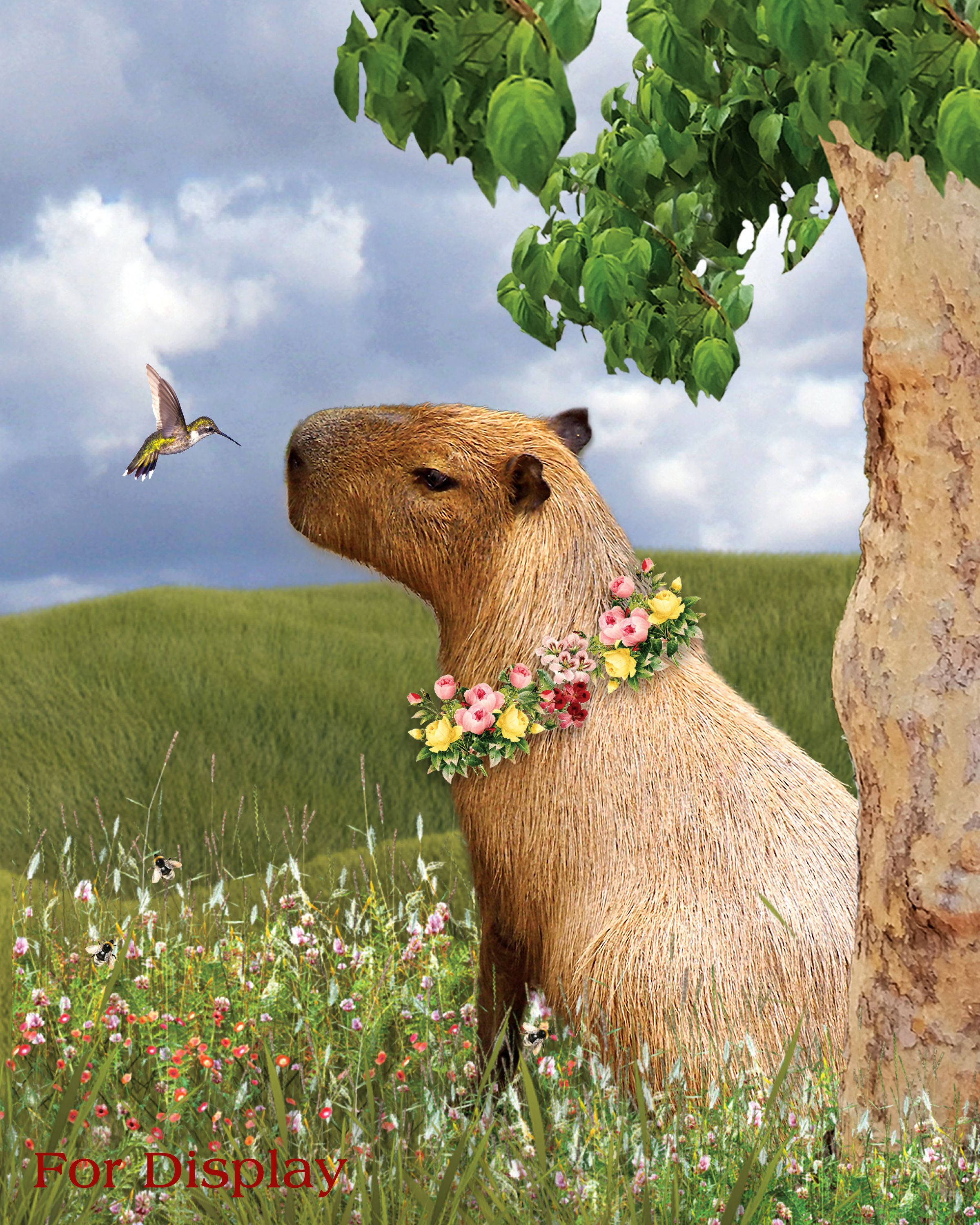 capybara, floral garland, hummingbird, 2K Phone Wallpaper