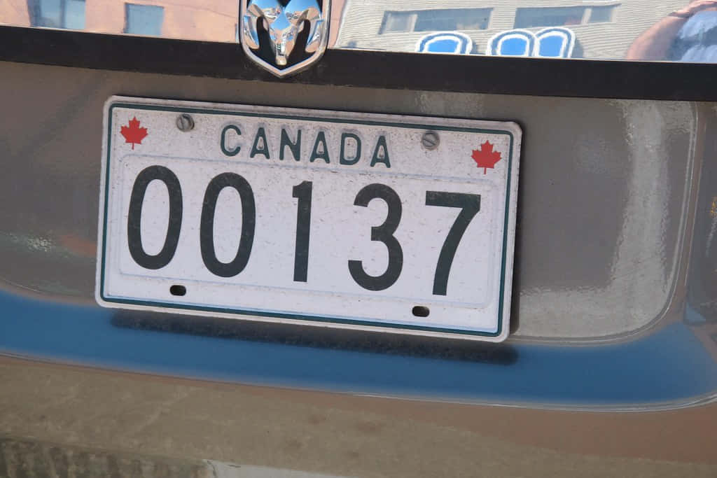 Canadian license plate, number 00137, blue car bumper, SD Desktop Wallpaper