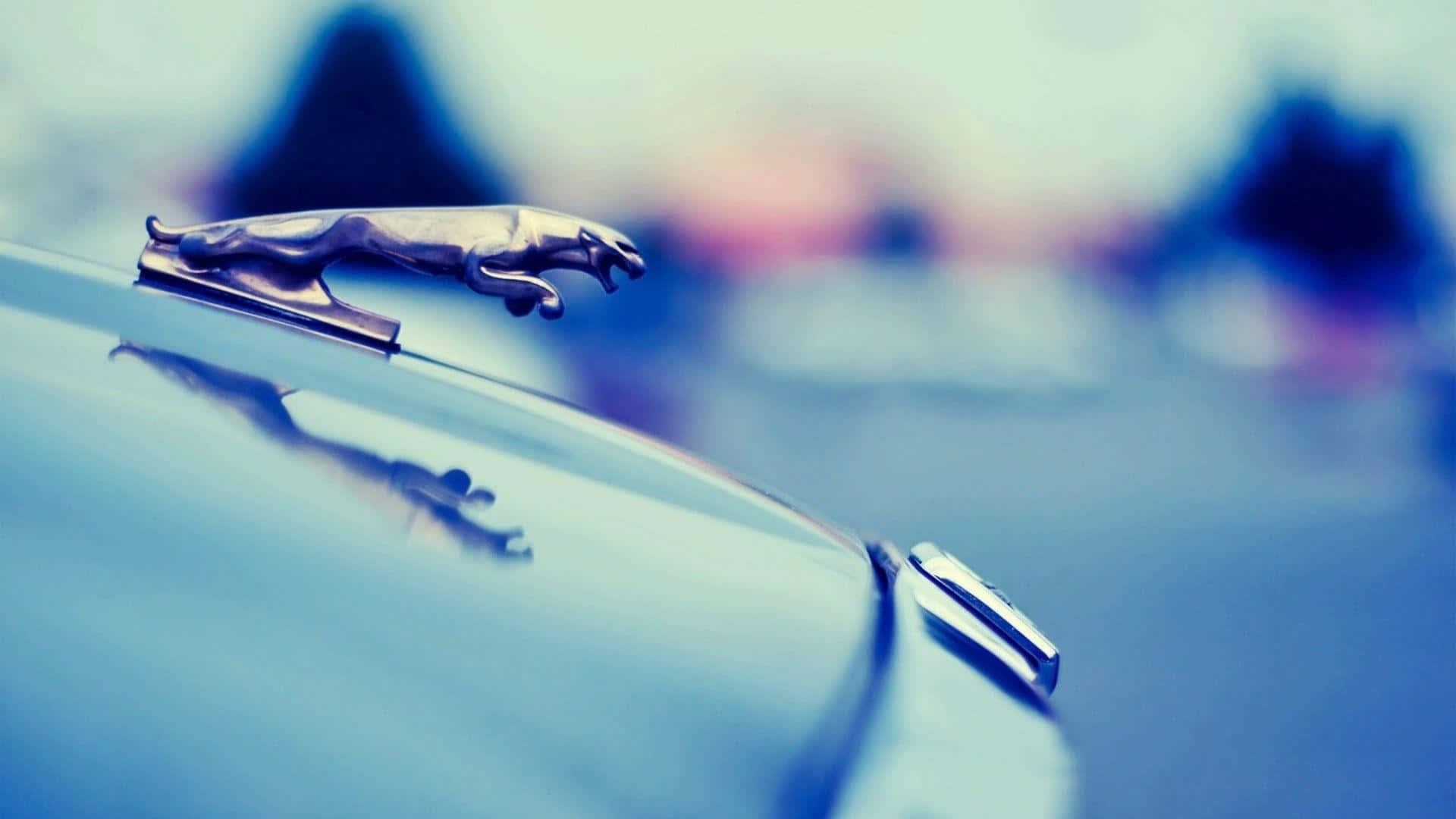 silver jaguar hood ornament, sleek car hood, blurred blue background, Full HD Desktop Wallpaper