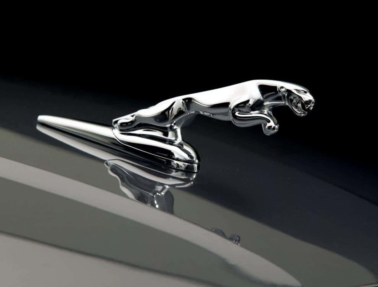 chrome jaguar hood ornament, sleek black car hood, gleaming, SD Desktop Wallpaper