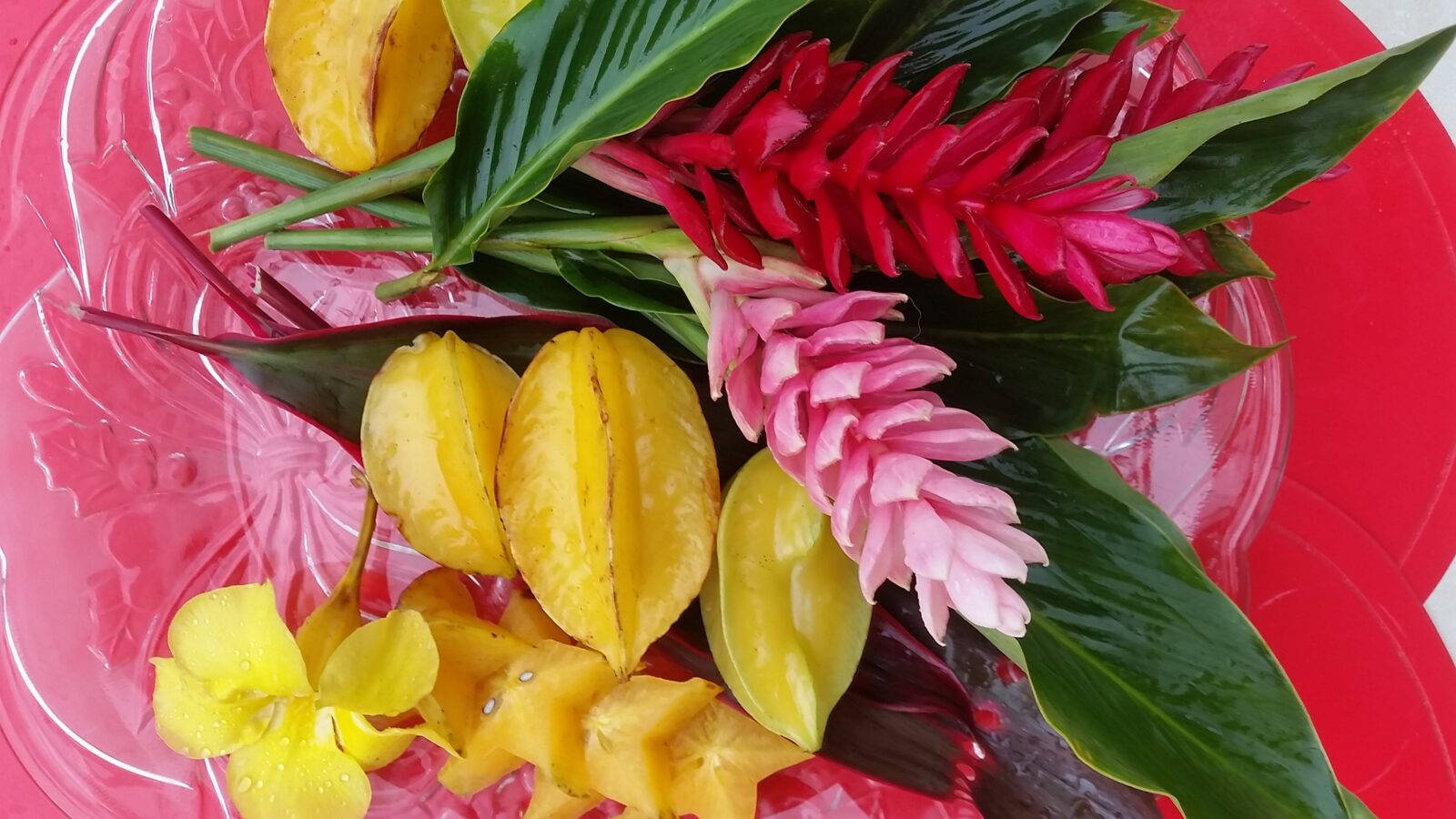 carambola, glossy red plate, vibrant pink, HD Desktop Wallpaper