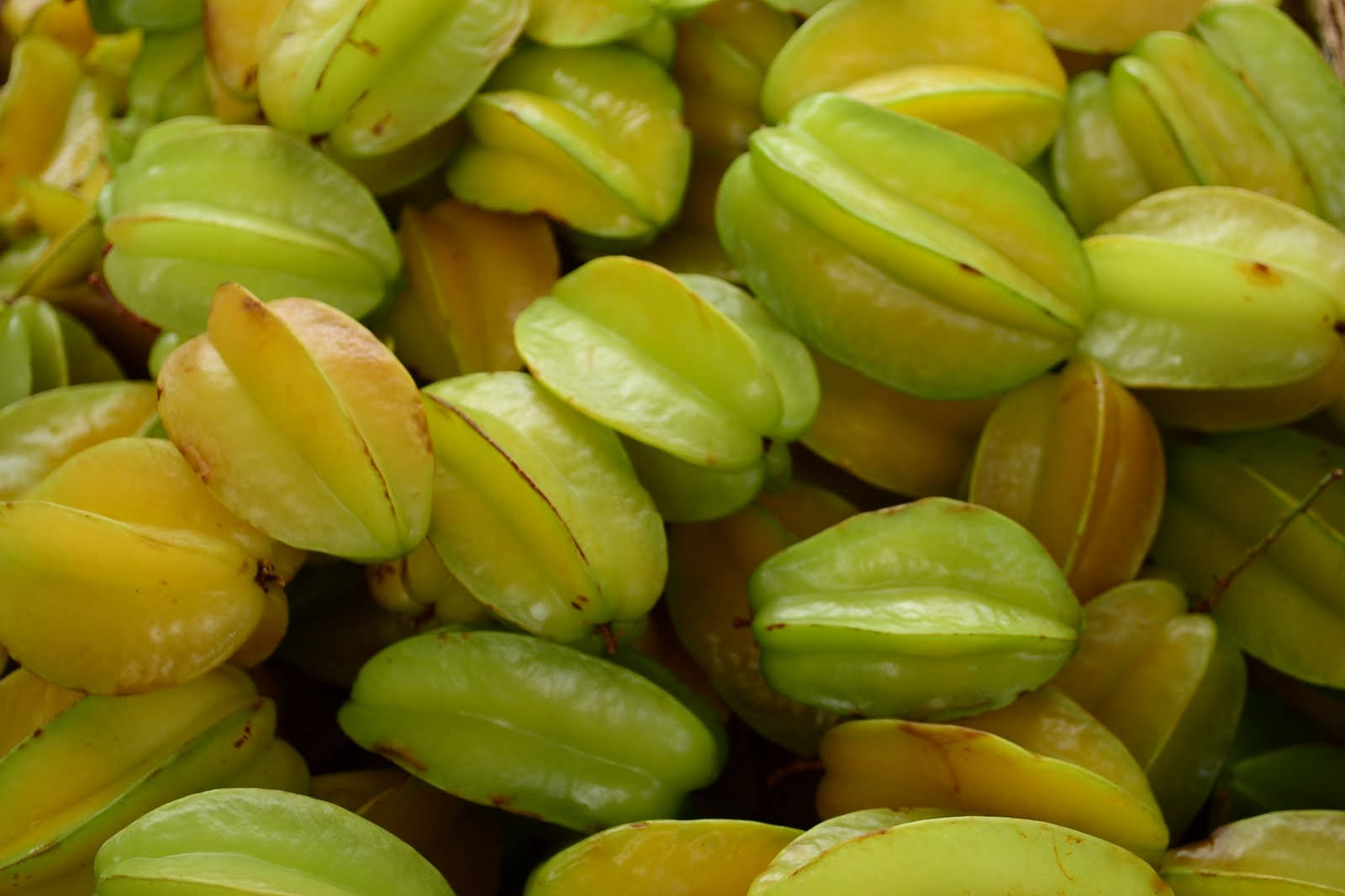 Carambola, Five-Point Star Shape, vibrant green, HD Desktop Wallpaper
