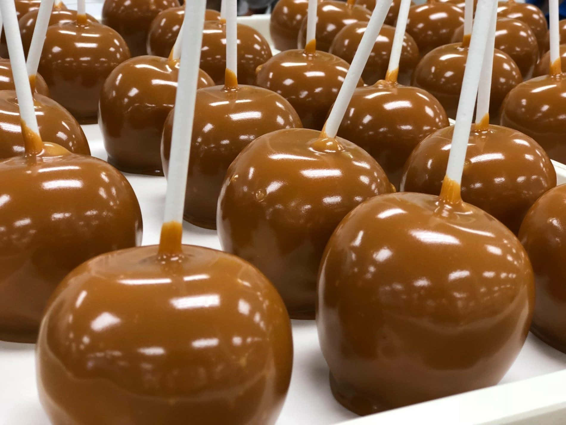 caramel apples, glossy caramel apples, white sticks, HD Desktop Wallpaper