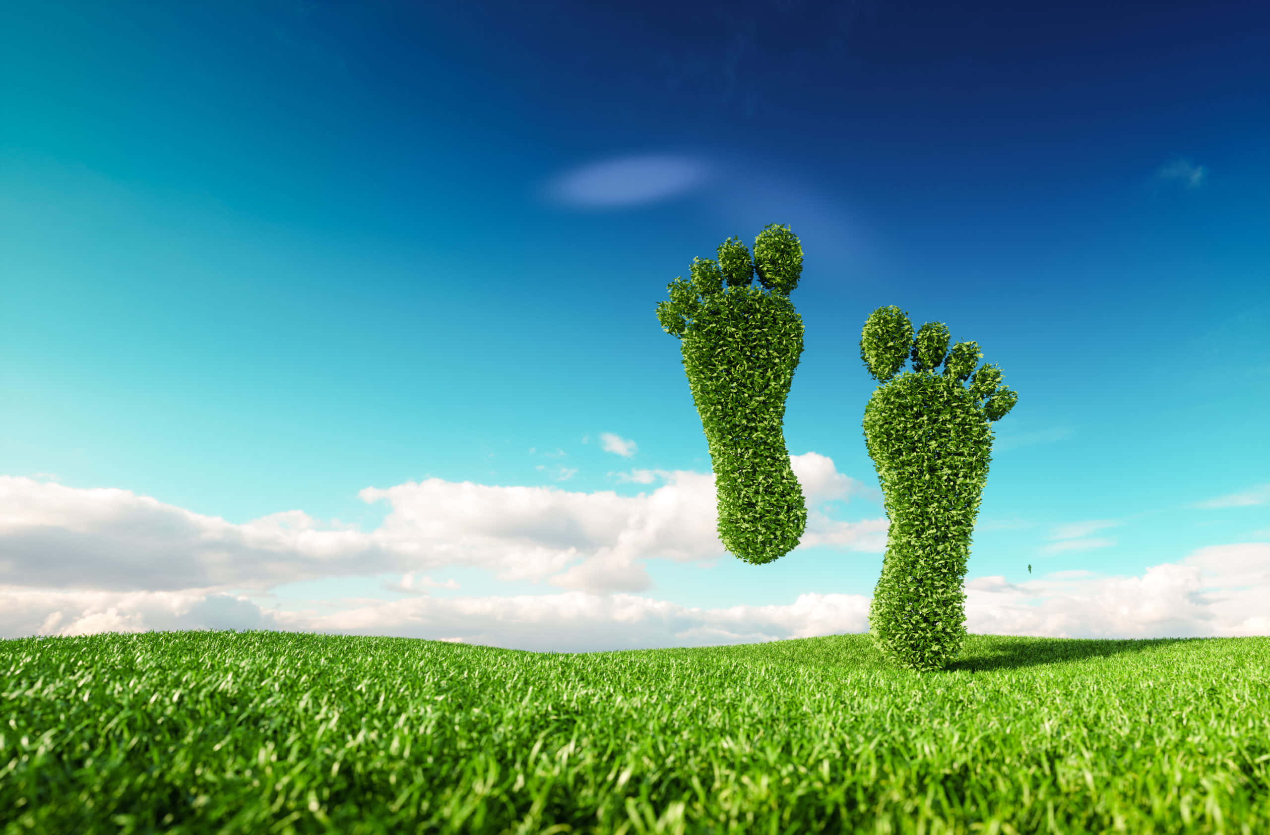 Earth's Carbon Footprint, lush green footprints, grass, 2K Desktop Wallpaper