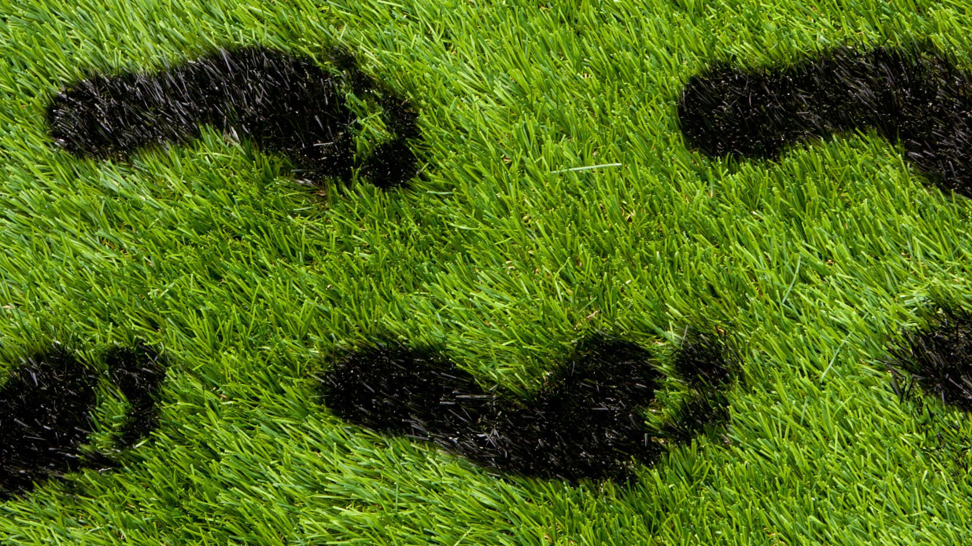 carbon footprint, vibrant green grass, dark wet footprints, Full HD Desktop Wallpaper