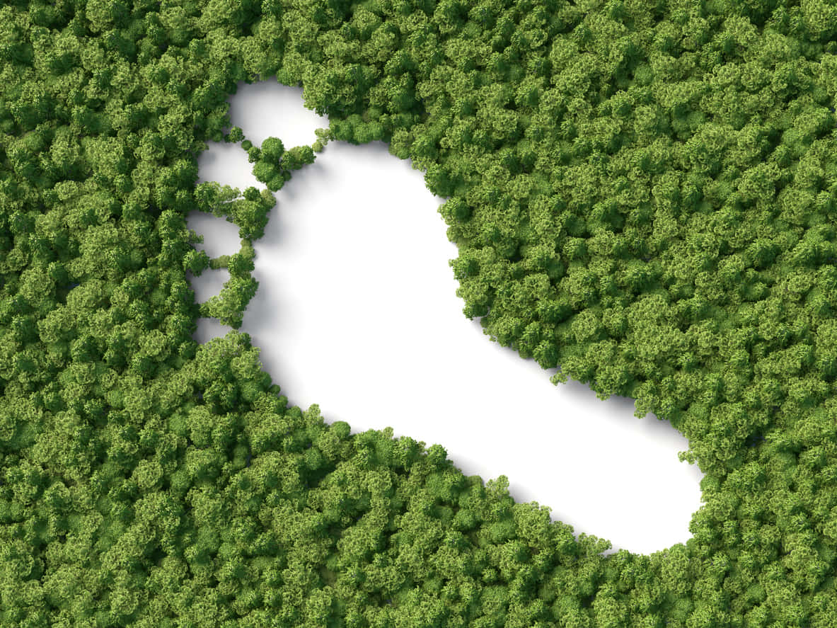 Carbon Footprint, globe, human imprint, SD Desktop Wallpaper