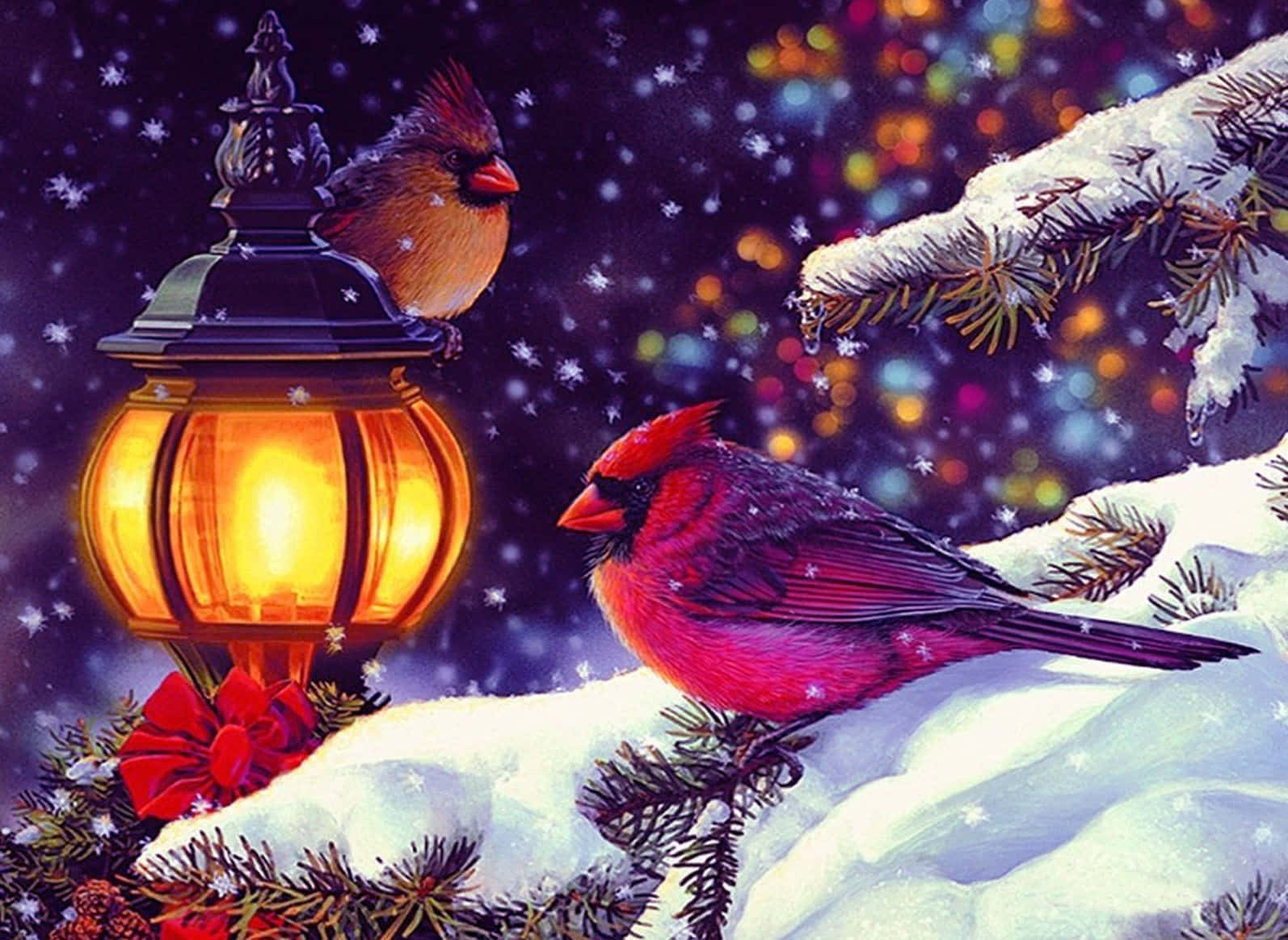 Cardinal, snowy pine branches, glowing lantern, HD Desktop Wallpaper