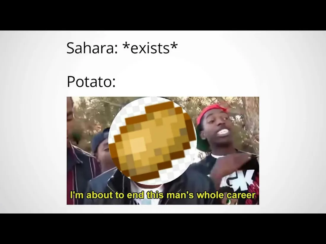 Career Memes