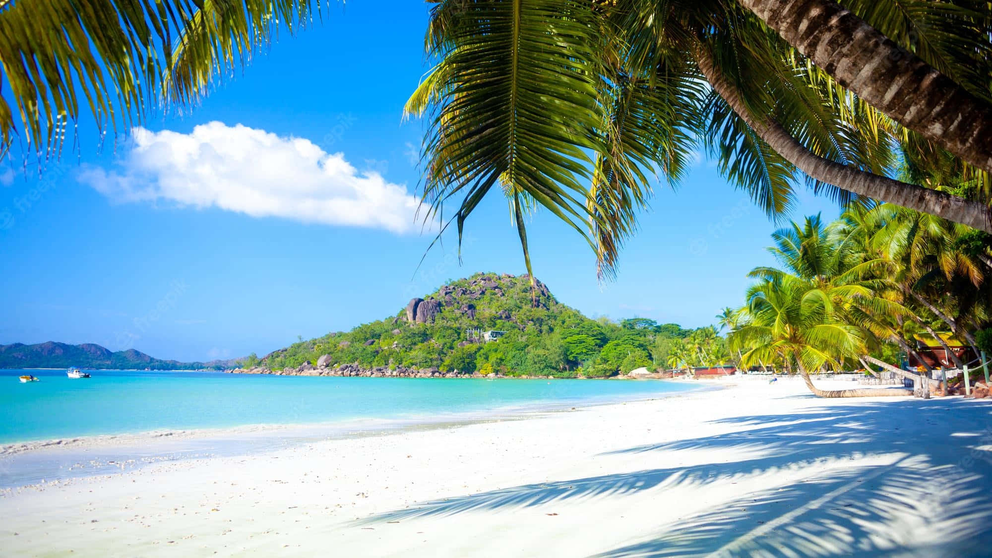 Caribbean Beach, palm trees, blue ocean, Full HD Desktop Wallpaper
