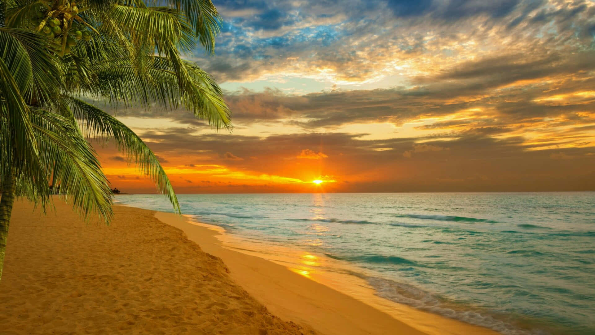 Caribbean Beach, Golden sunset, palm fronds, Full HD Desktop Wallpaper