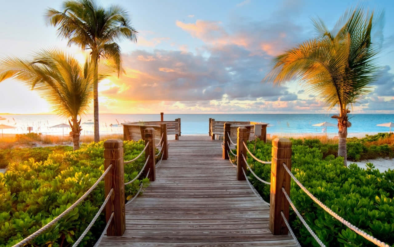 Caribbean Beach, wooden walkway, palm trees, HD Desktop Wallpaper