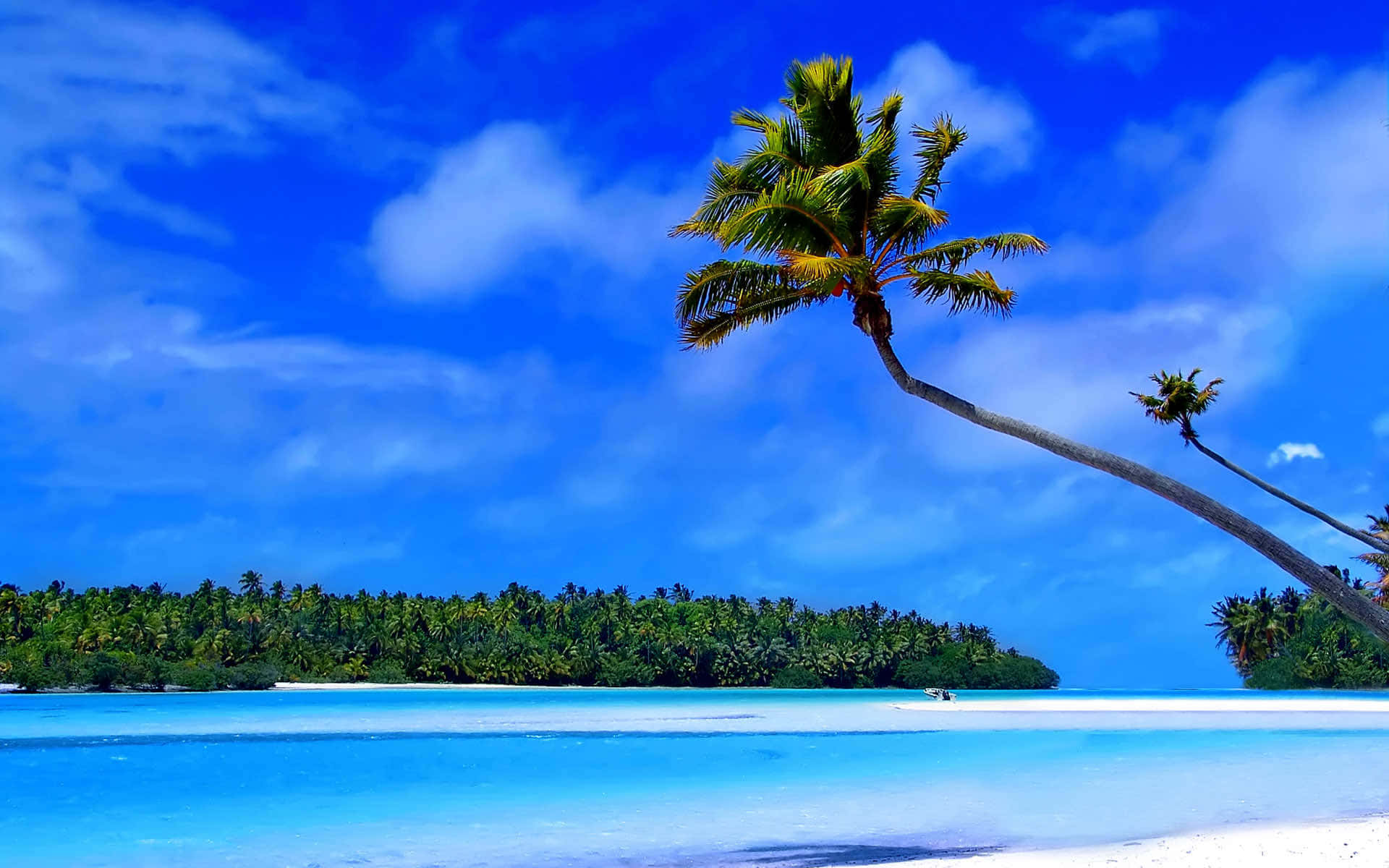 Caribbean beach, turquoise waters, white sand beach, Full HD Desktop Wallpaper