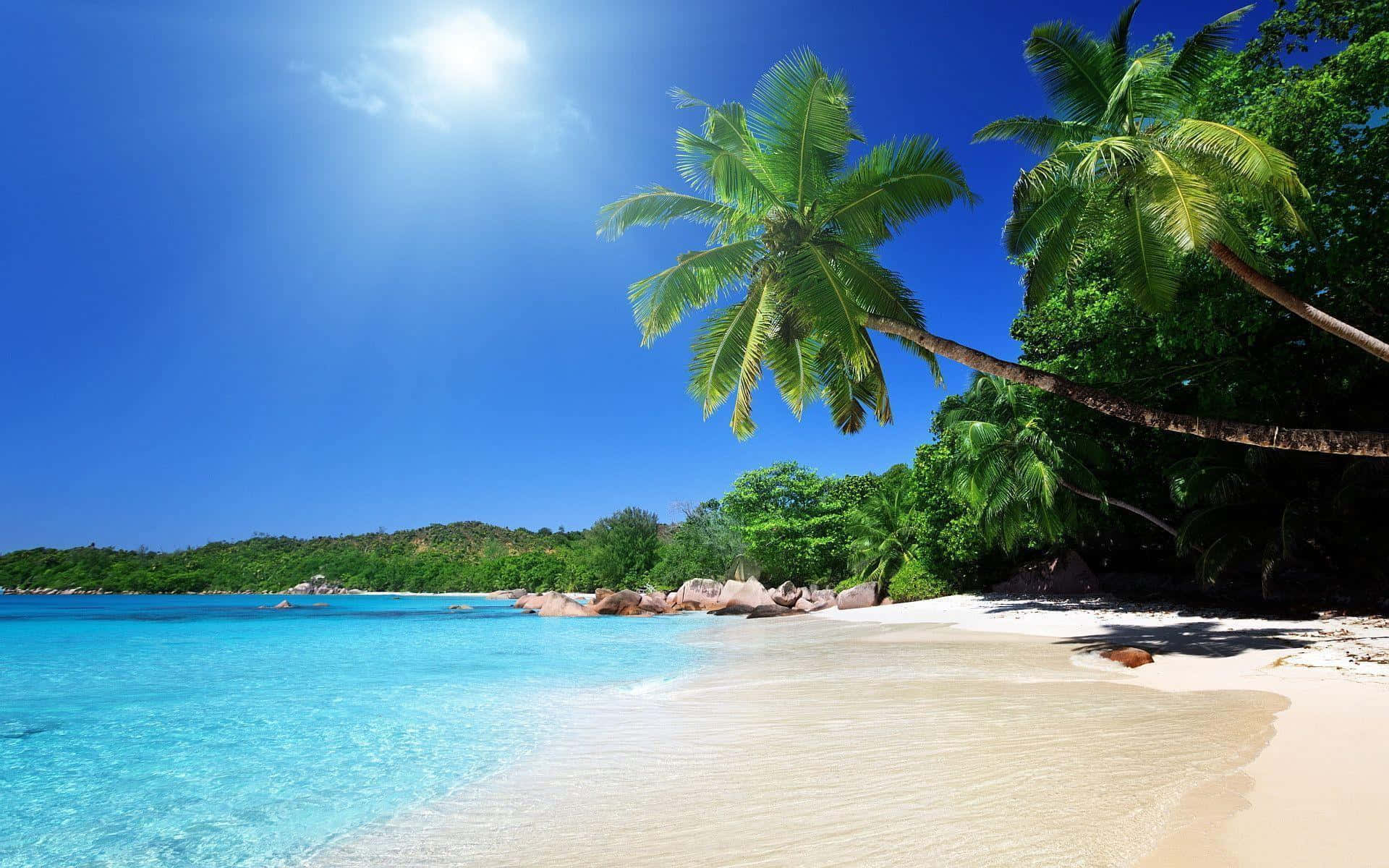 Caribbean Beach, turquoise waters, white sand, Full HD Desktop Wallpaper