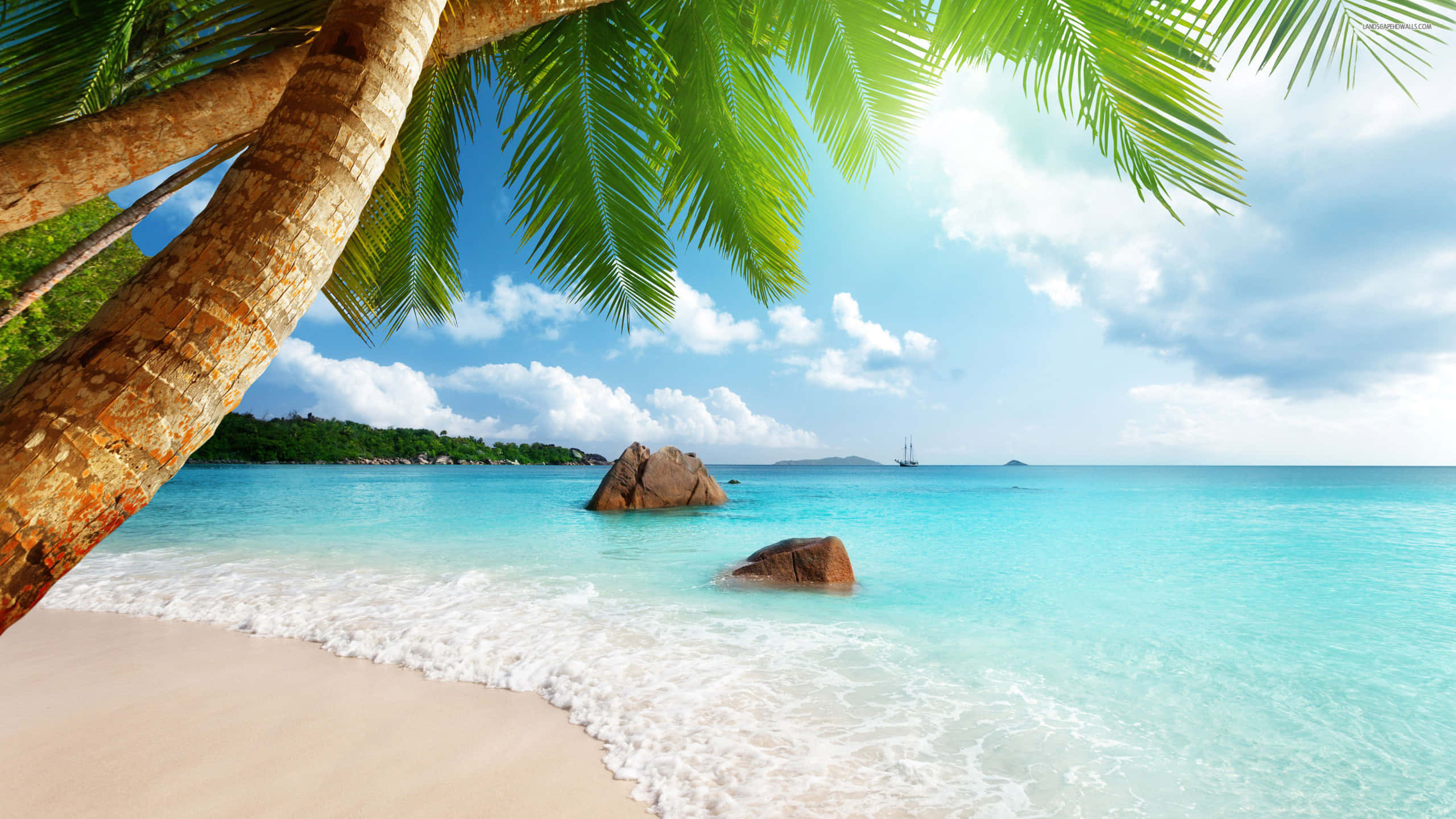 Caribbean Beach, turquoise waters, palm trees, 2K Desktop Wallpaper