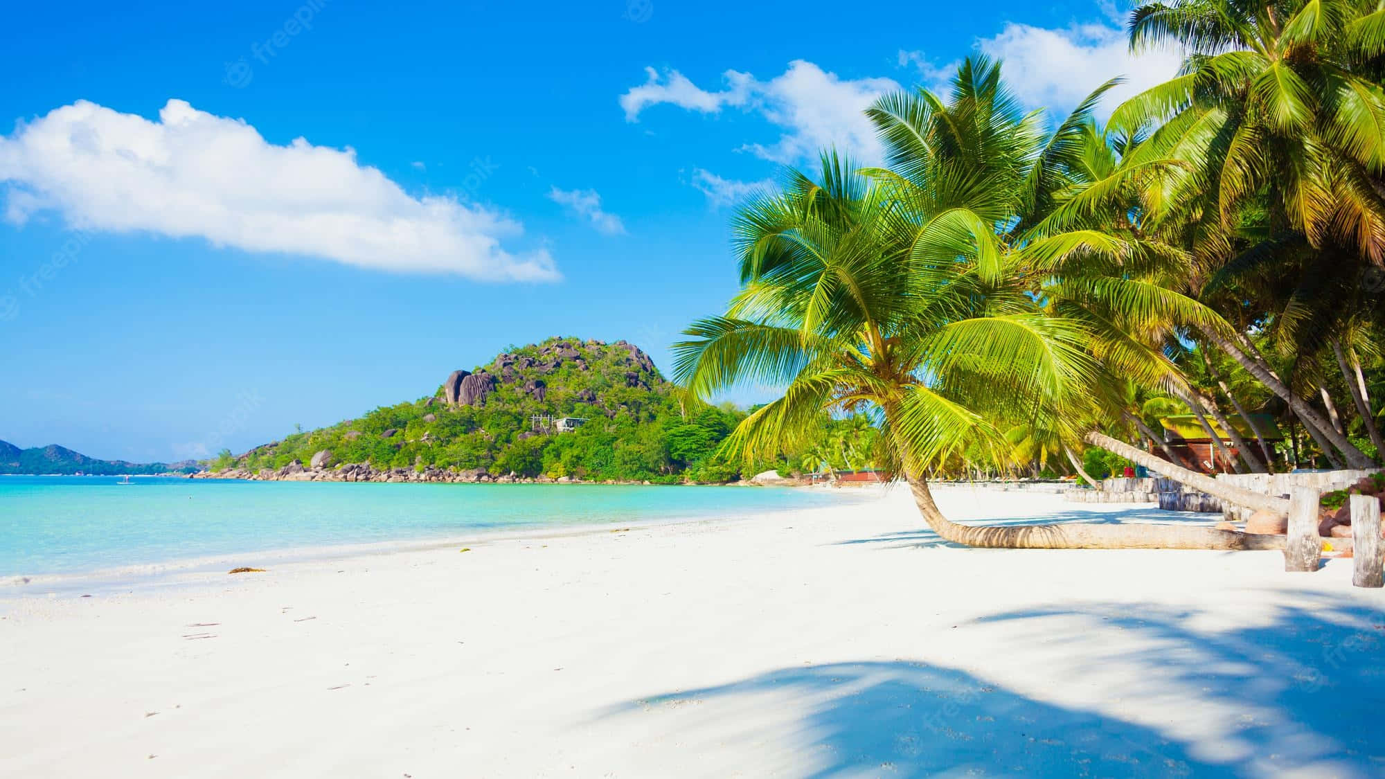 Caribbean Beach, white sandy beach, palm trees, Full HD Desktop Wallpaper