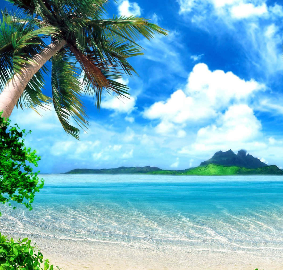 Caribbean Beach, turquoise waters, palm trees, SD Desktop Wallpaper