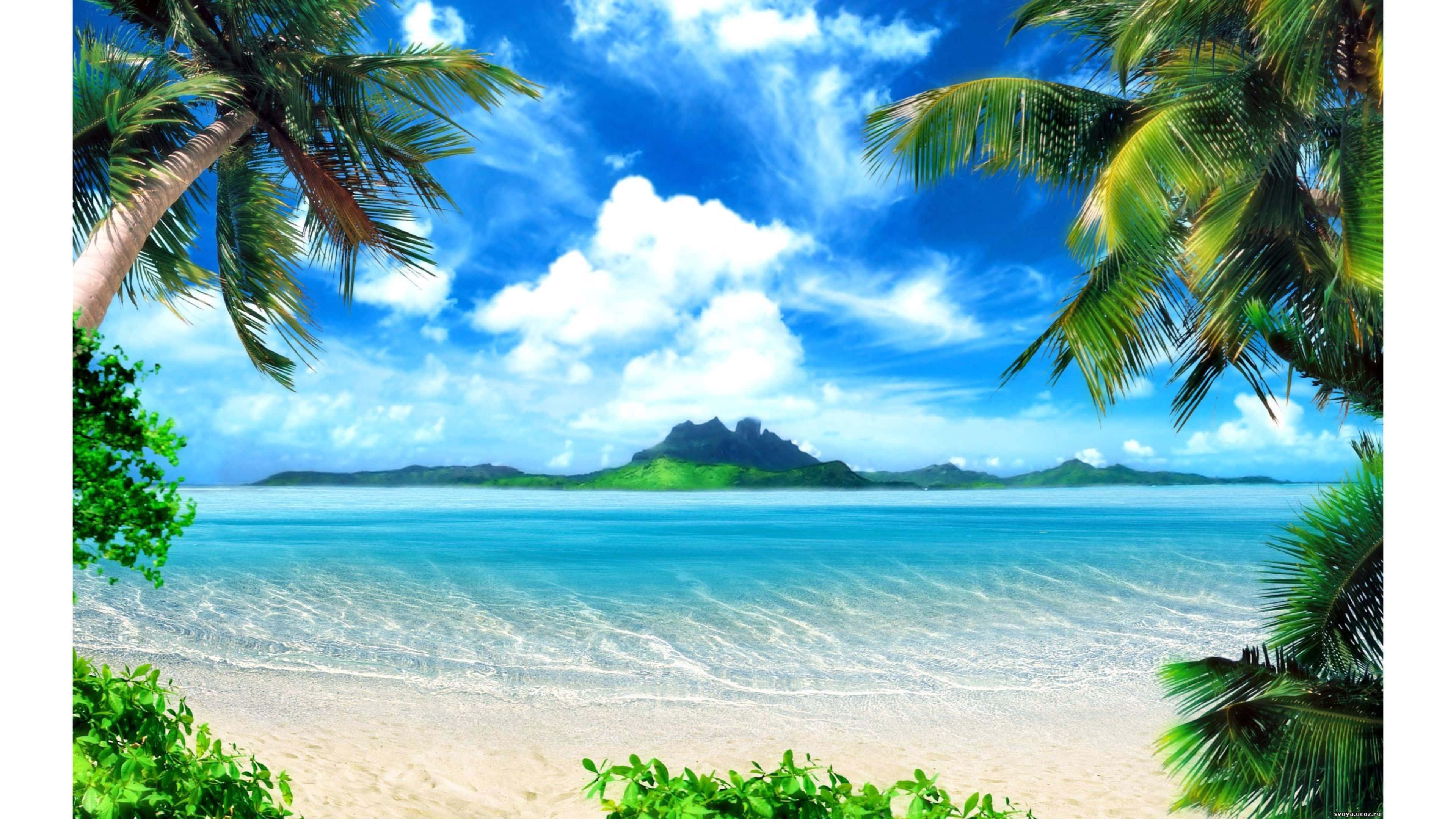 Caribbean Beach, palm trees, turquoise water, 4K Desktop Wallpaper