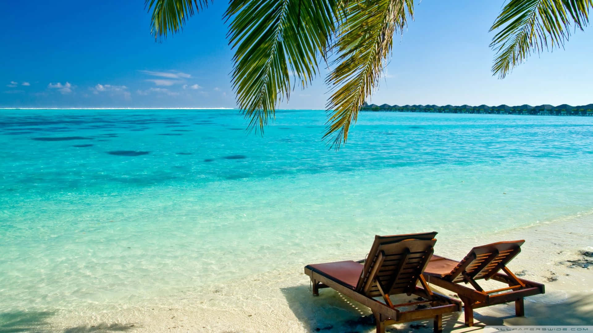 Caribbean Beach, white sand beach, palm fronds, Full HD Desktop Wallpaper