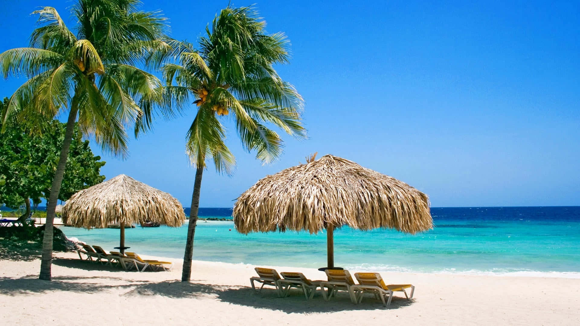 Caribbean Beach, tropical beach paradise, palm trees, Full HD Desktop Wallpaper