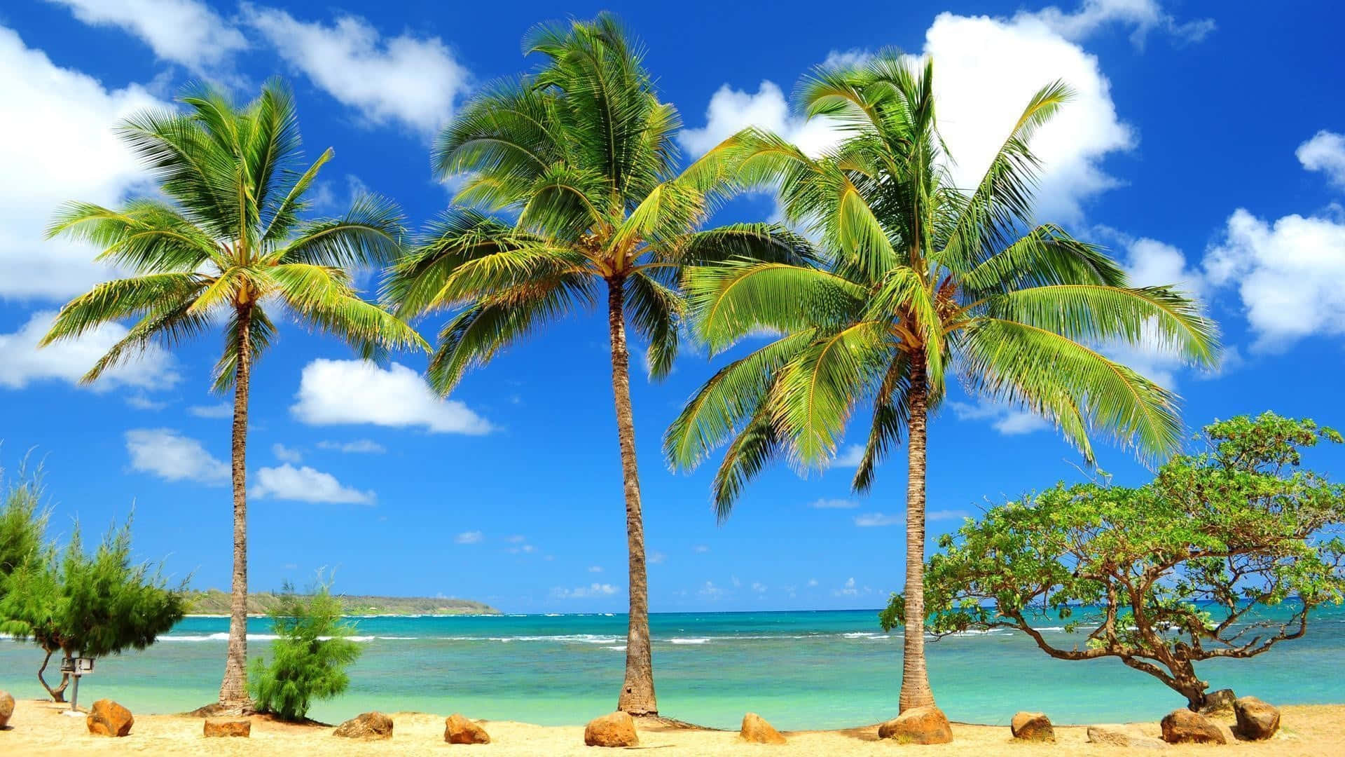 Caribbean Beach, white-sand, turquoise waters, Full HD Desktop Wallpaper