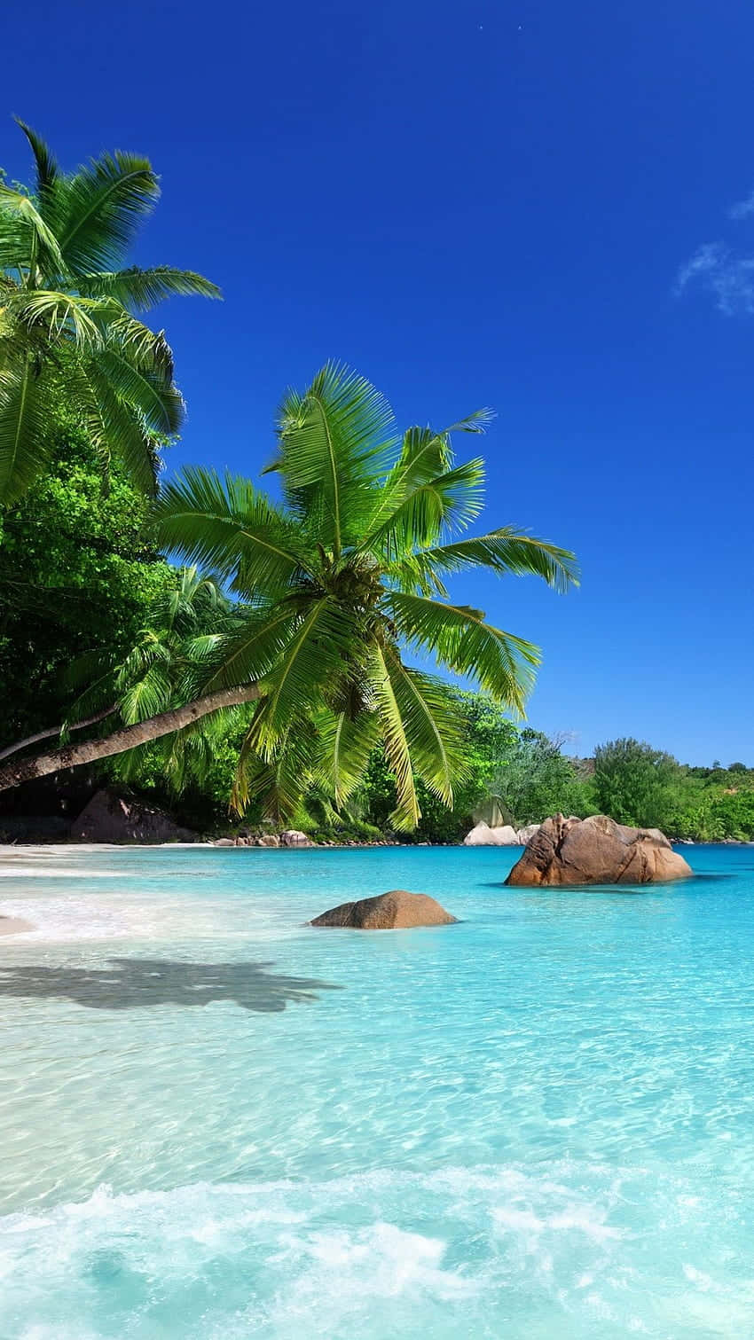 Caribbean Beach, turquoise waters, gentle waves, HD Phone Wallpaper