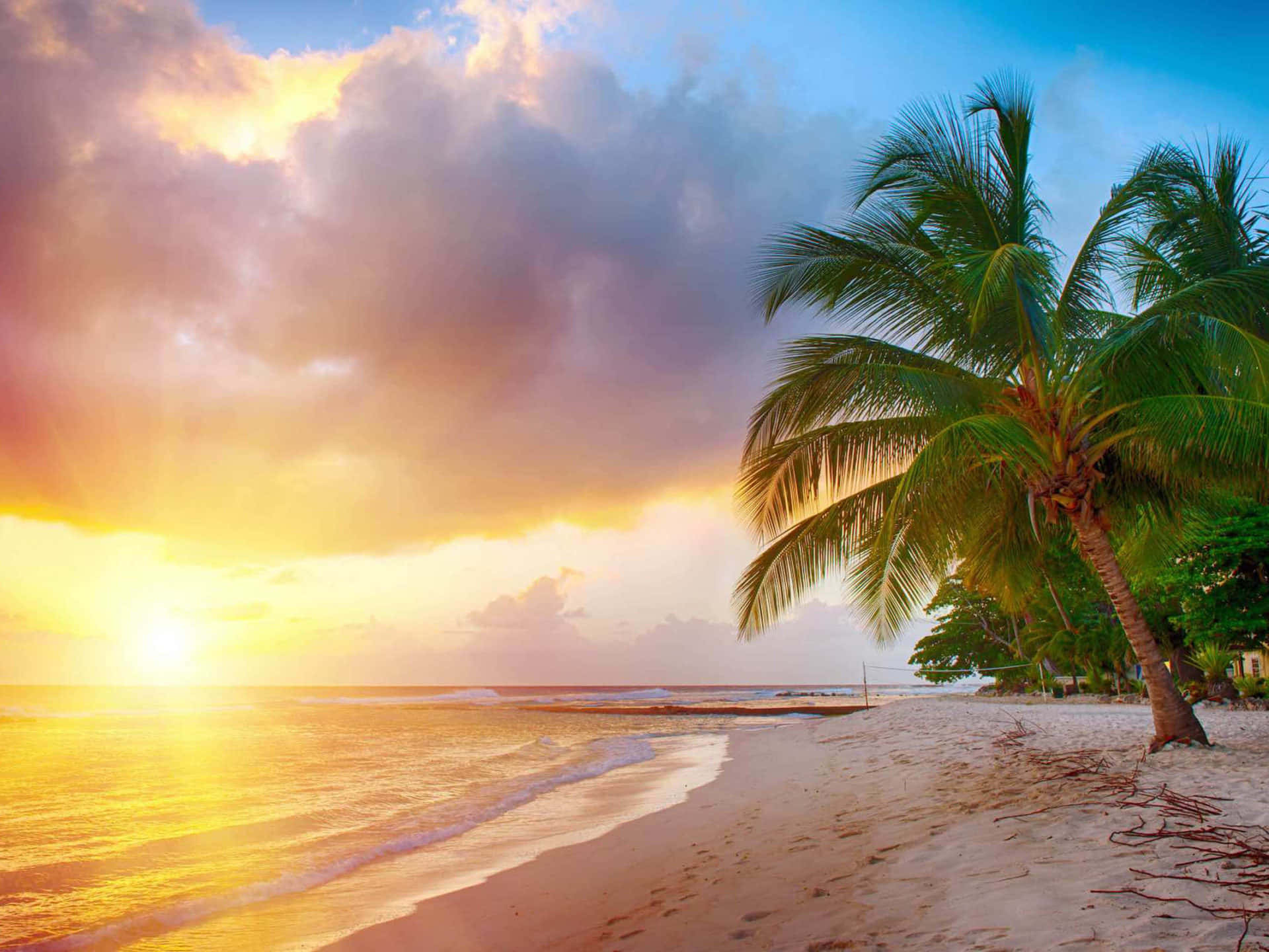 Caribbean Beach, golden sunset, tranquil ocean waves, Full HD Desktop Wallpaper