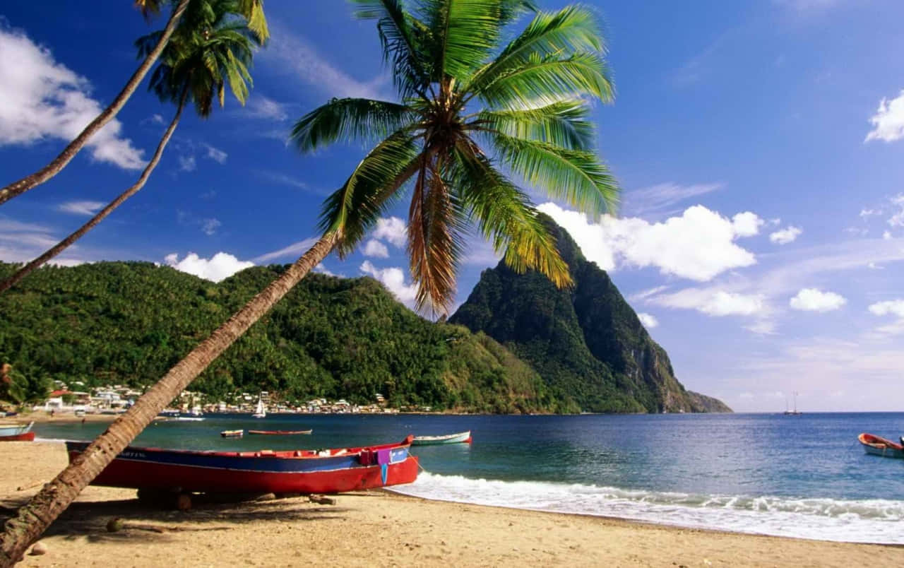 Caribbean Beach, turquoise water, golden sand, HD Desktop Wallpaper