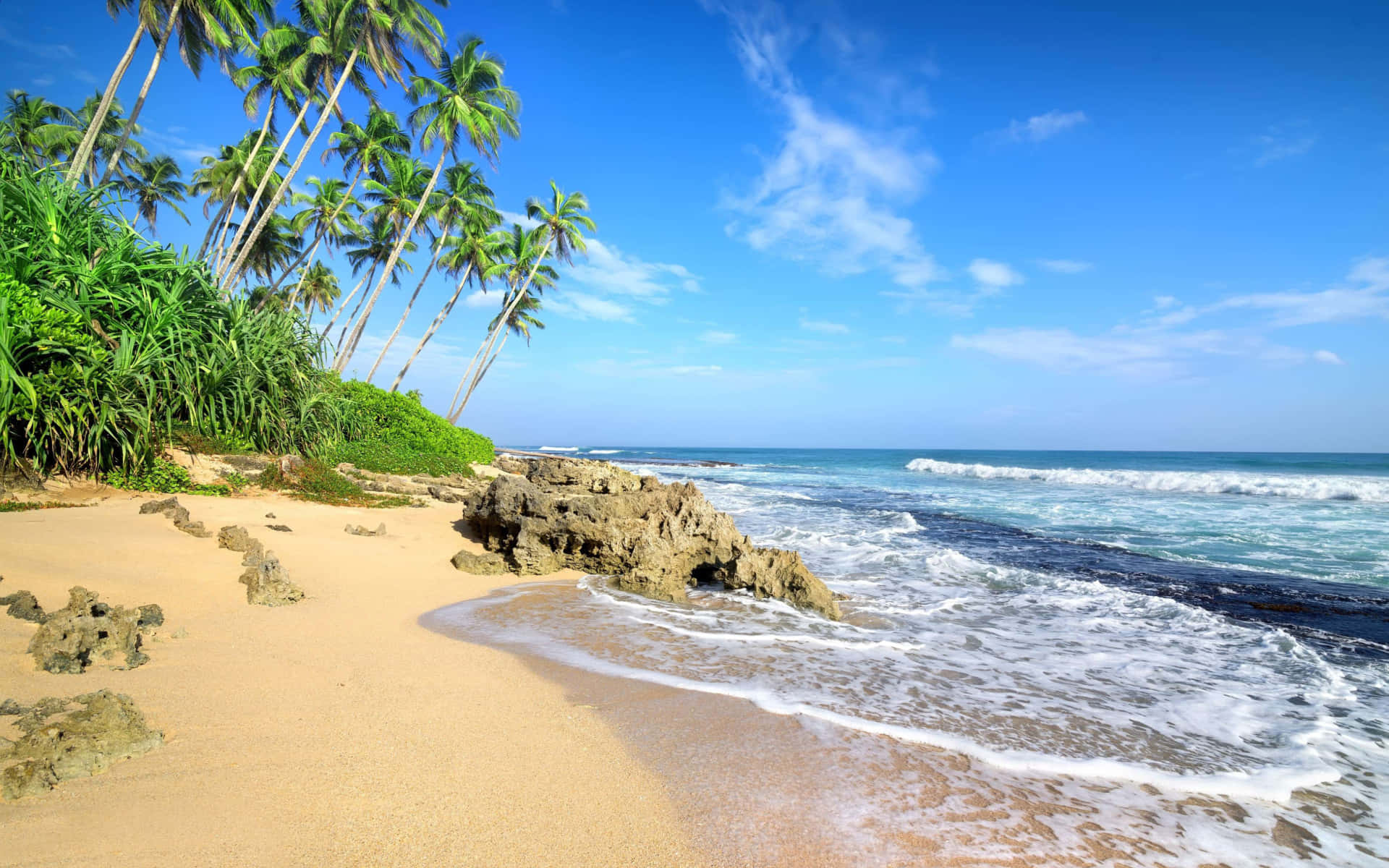 Caribbean Beach, palm trees, golden sand, Full HD Desktop Wallpaper