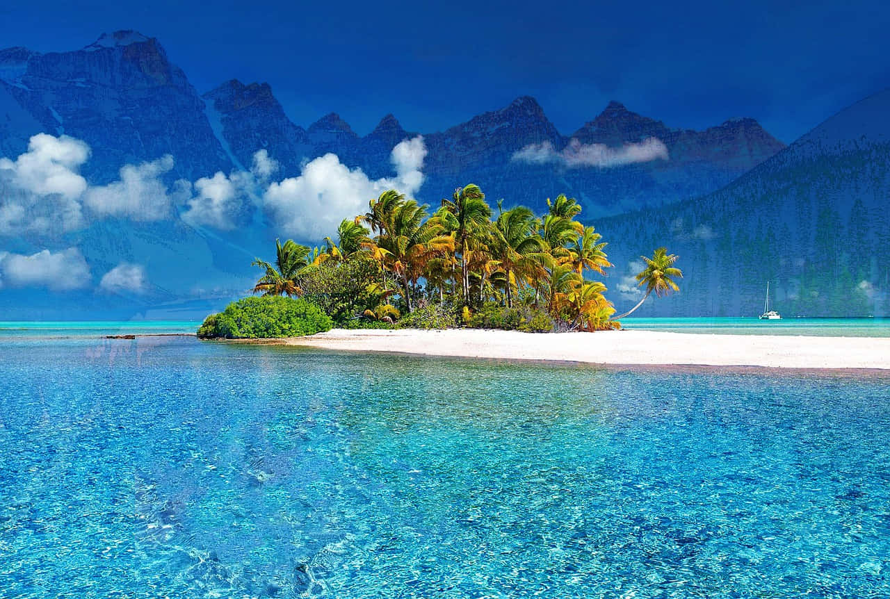tropical island, palm trees, white sand, HD Desktop Wallpaper