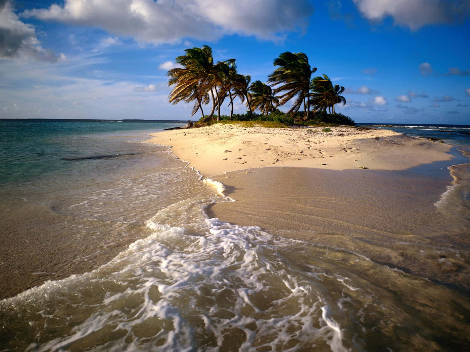 tropical island, palm trees, turquoise ocean, HD Desktop Wallpaper