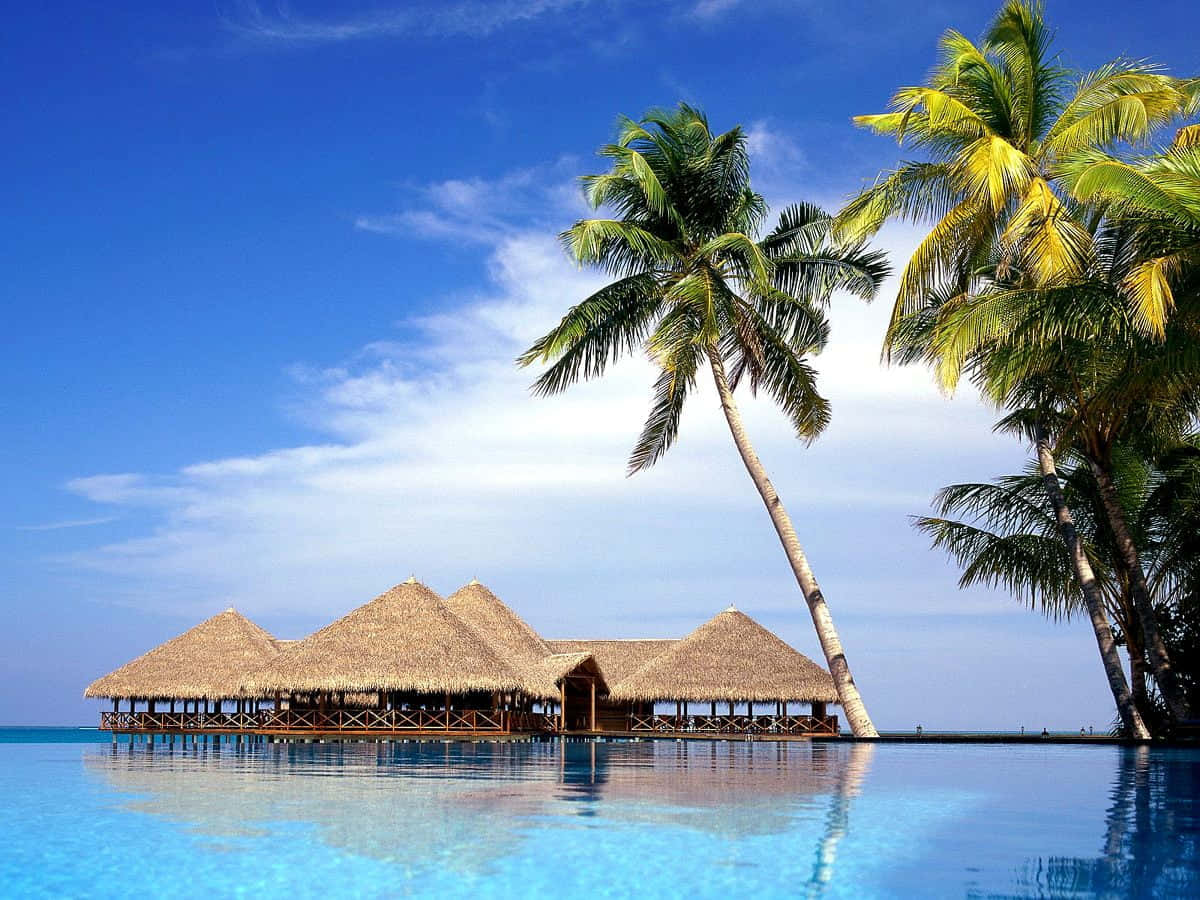 tropical resort paradise caribbean, overwater bungalows, thatched roofs, SD Desktop Wallpaper