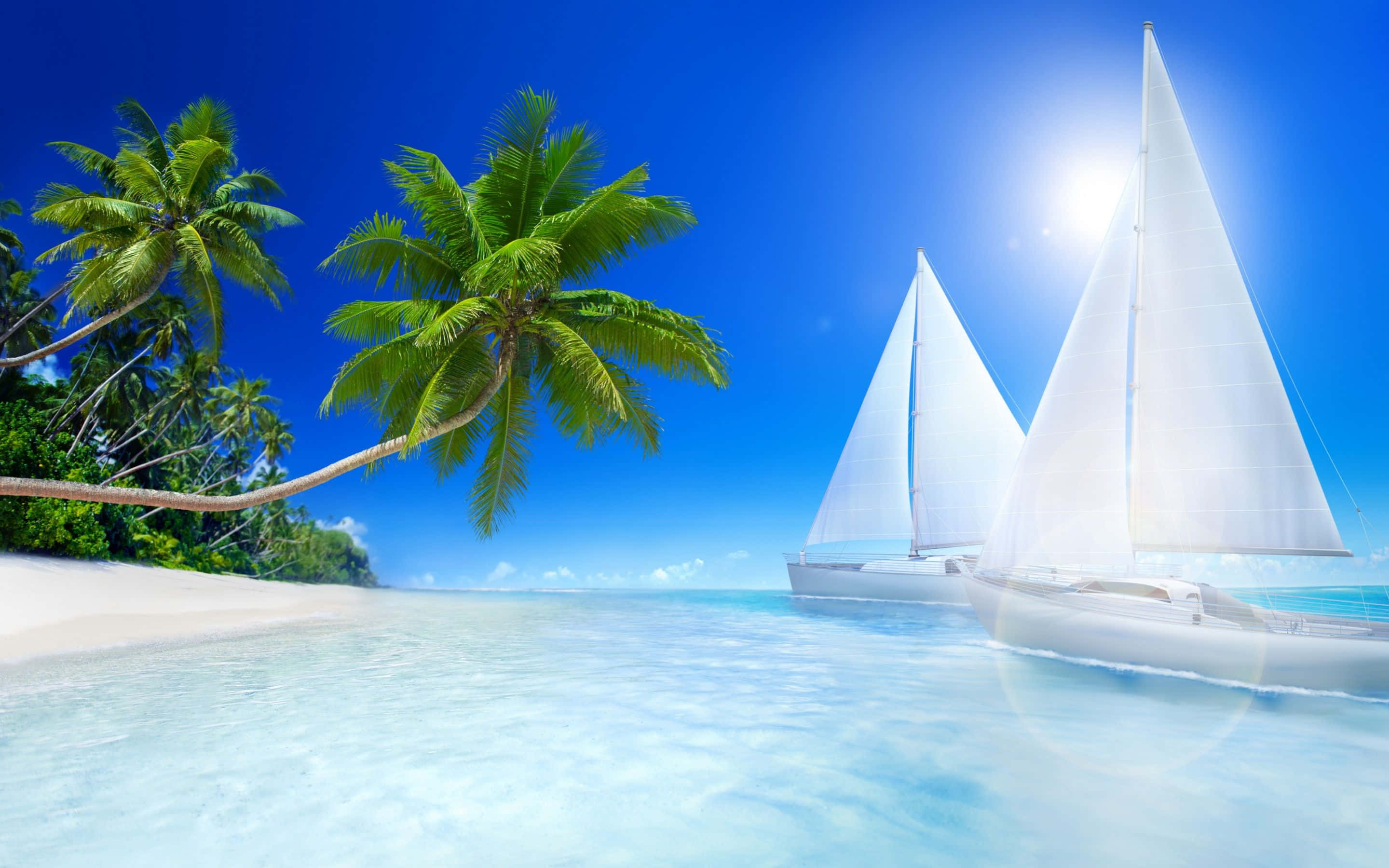tropical beach, sailing adventure, white sailboats, 2K Desktop Wallpaper
