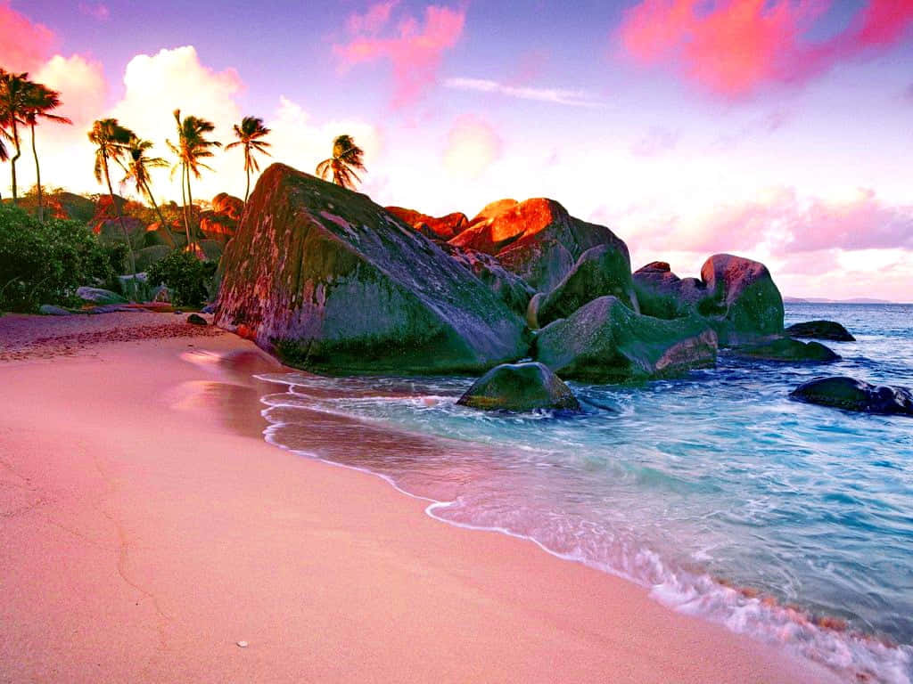 Caribbean sunset beach, pink sand beach, sunset, SD Desktop Wallpaper