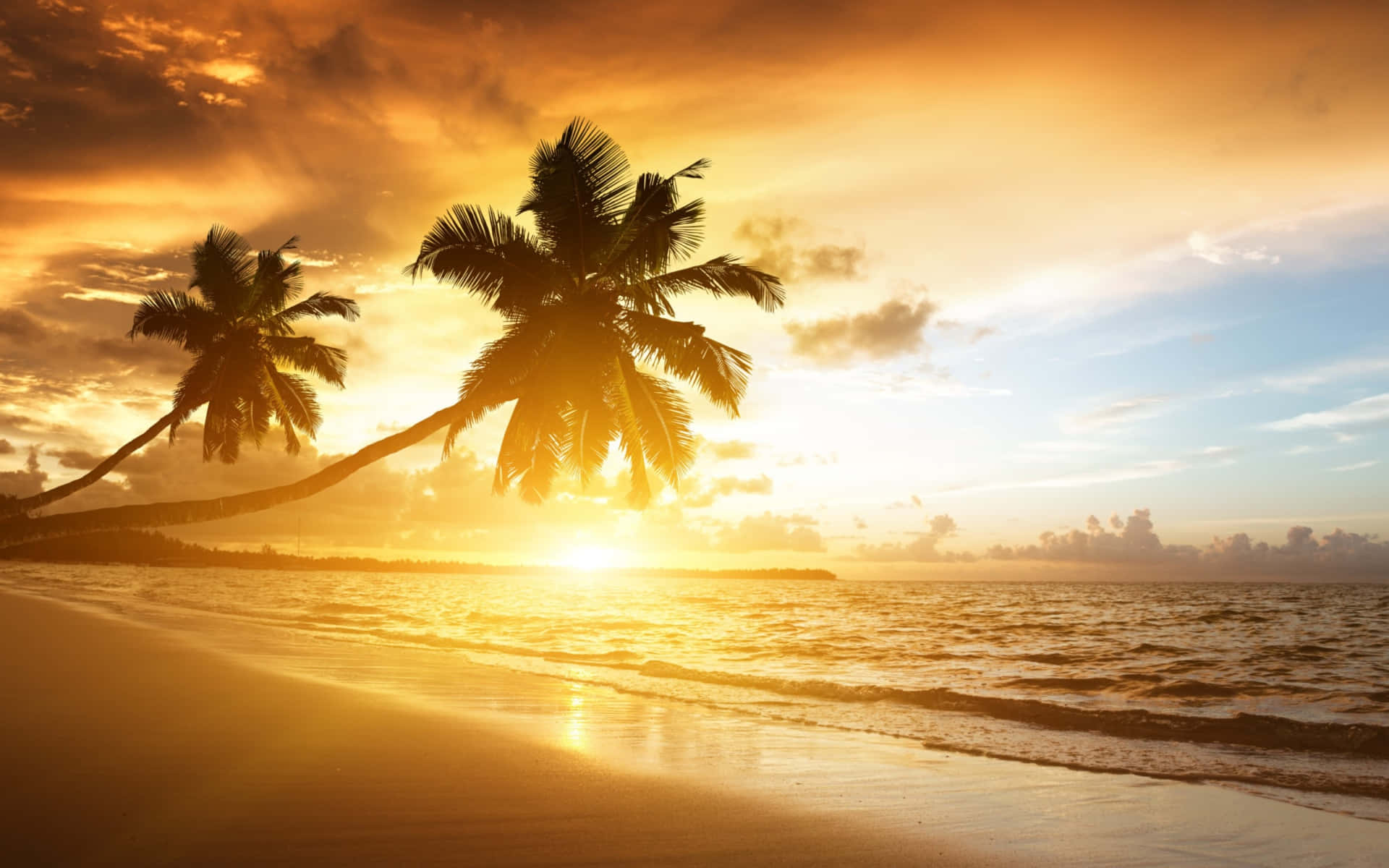Caribbean Sunset, palm trees, beach, Full HD Desktop Wallpaper