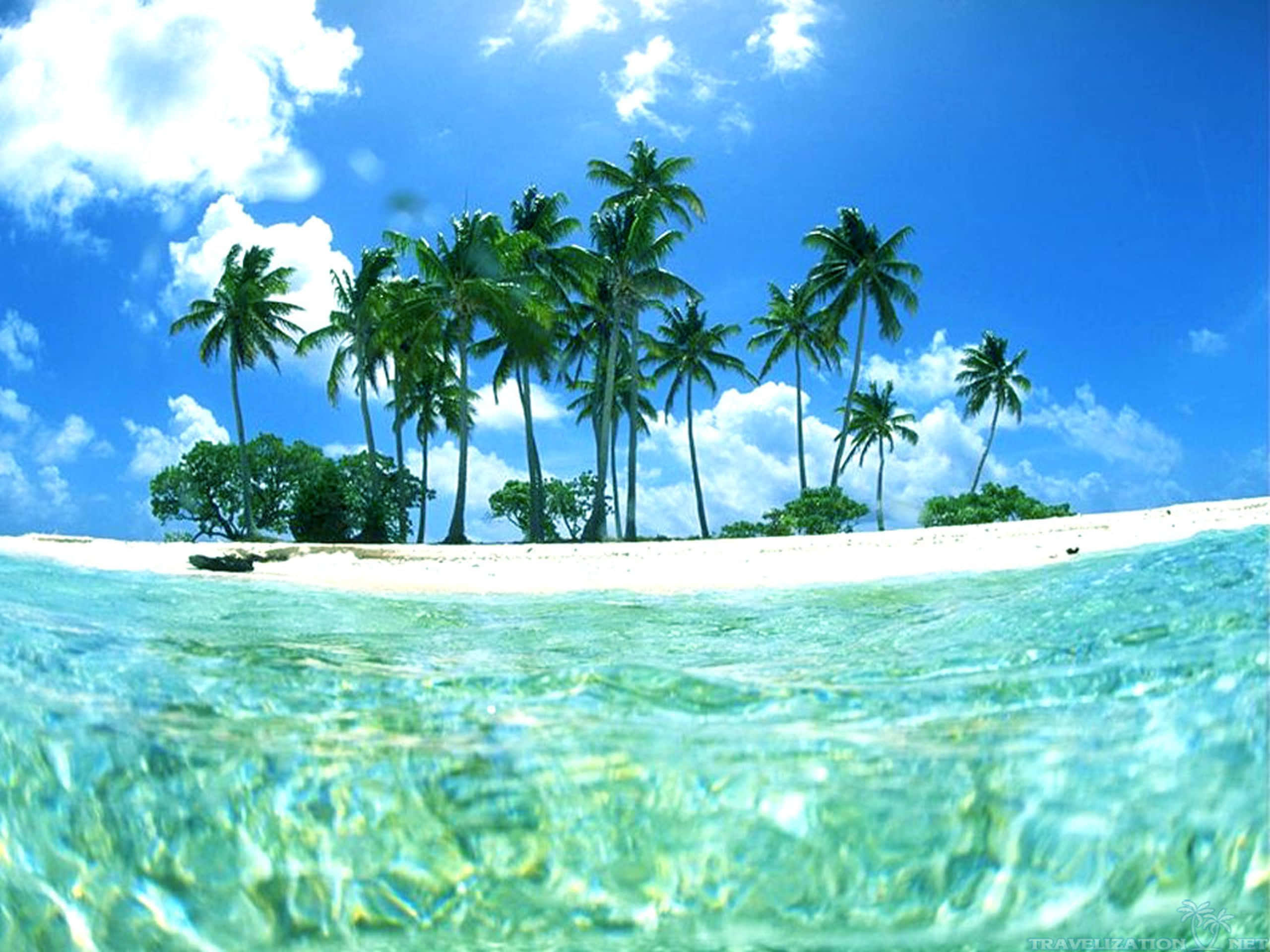 tropical island, palm trees, white sand, 2K Desktop Wallpaper